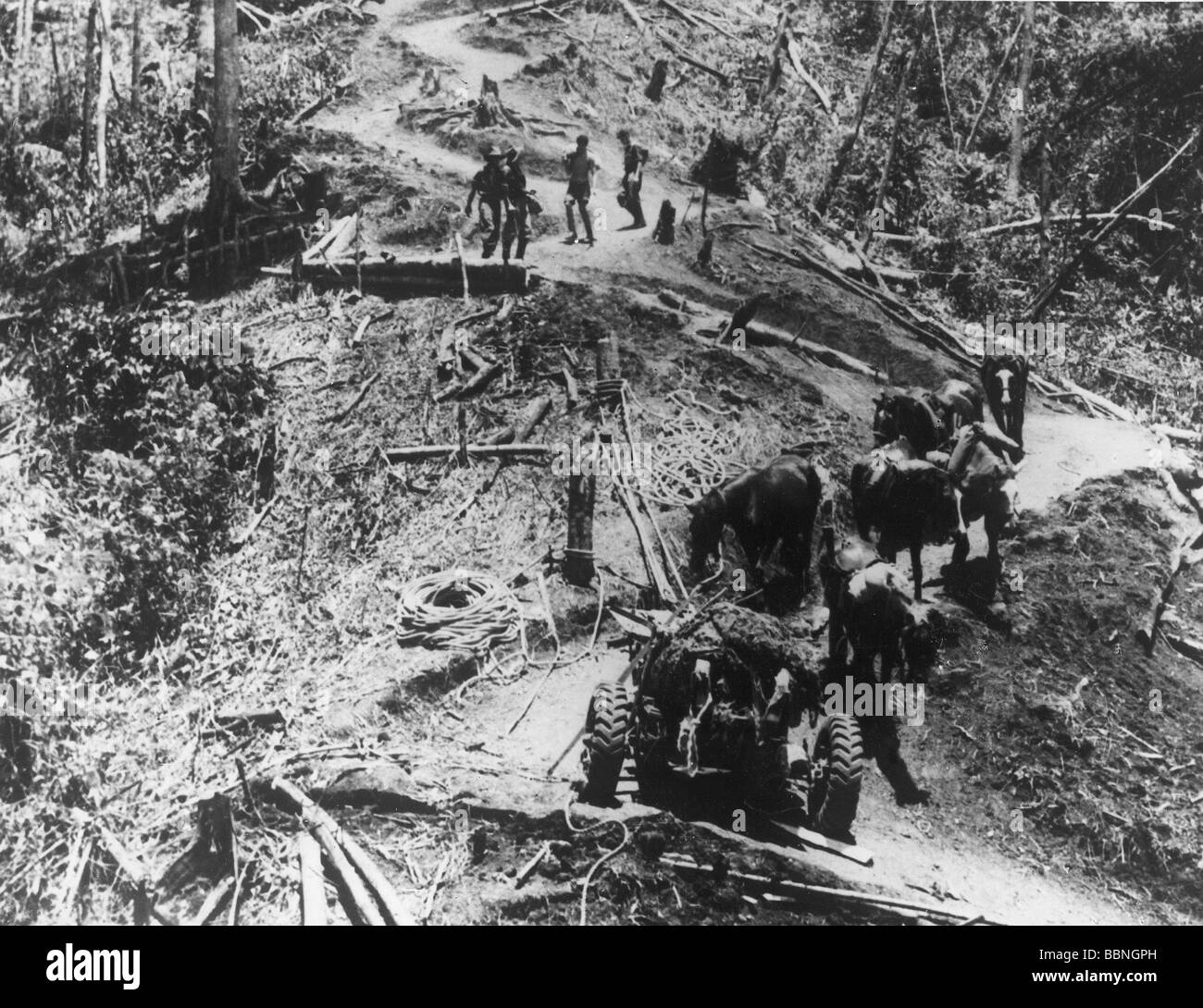 events, Second World War / WWII, Pacific, New Guinea, Australian soldiers of the 7th Division bringing 25 pounder guns with horses over the Owen Stanley Ridge, Papua, late 1942, Stock Photo