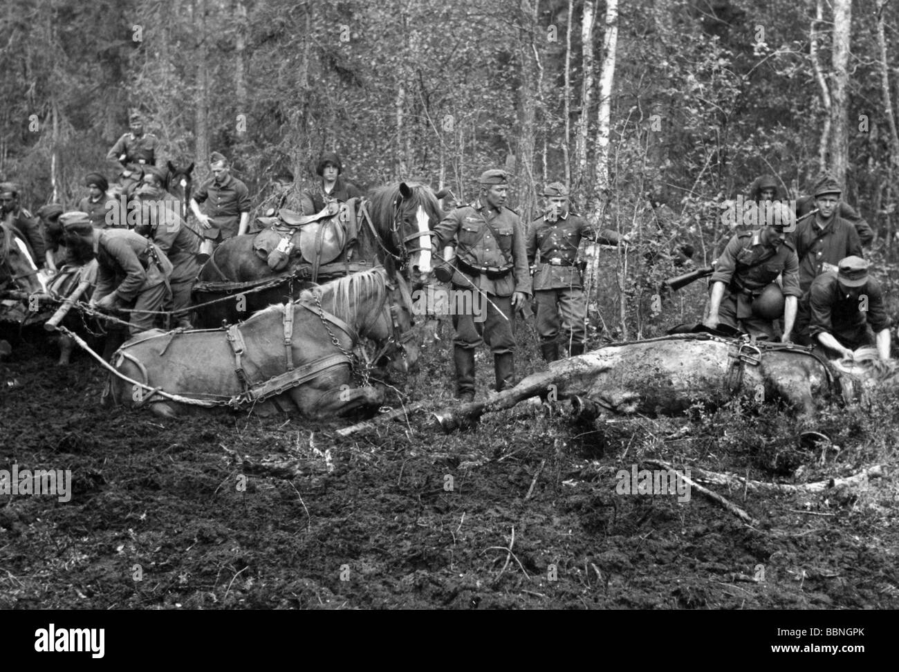 events, Second World War / WWII, Finland, Karelia, German horsedrawn supply column stuck in the