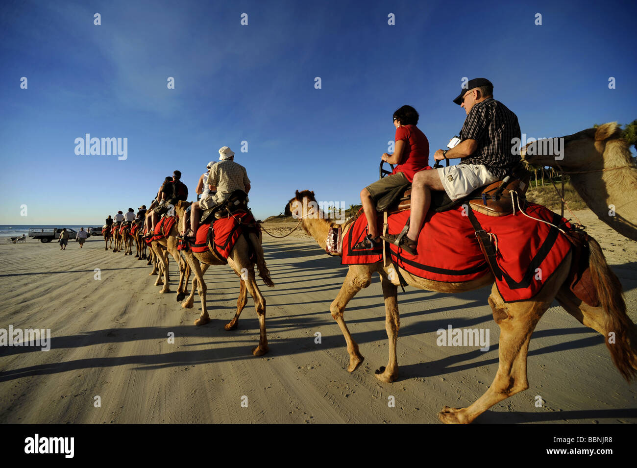 Tourists enjoy a sunset camel ride along Cable Beach in Broome , Western Australia. Stock Photo