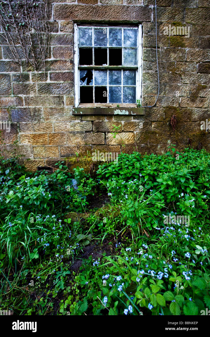 Derelict Farmhouse Egton Bridge North Yorkshire Stock Photo Alamy