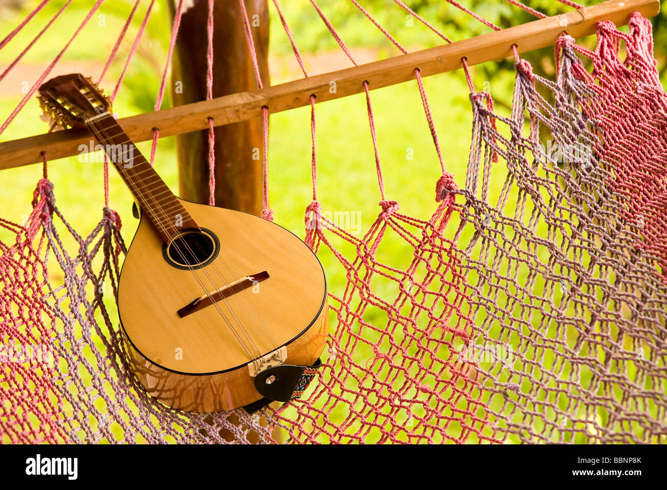 mandolin on a hammock Stock Photo