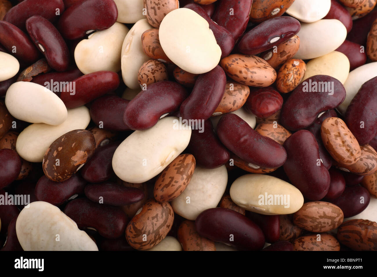 Beans background containing three species of genus Phaseolus Stock Photo