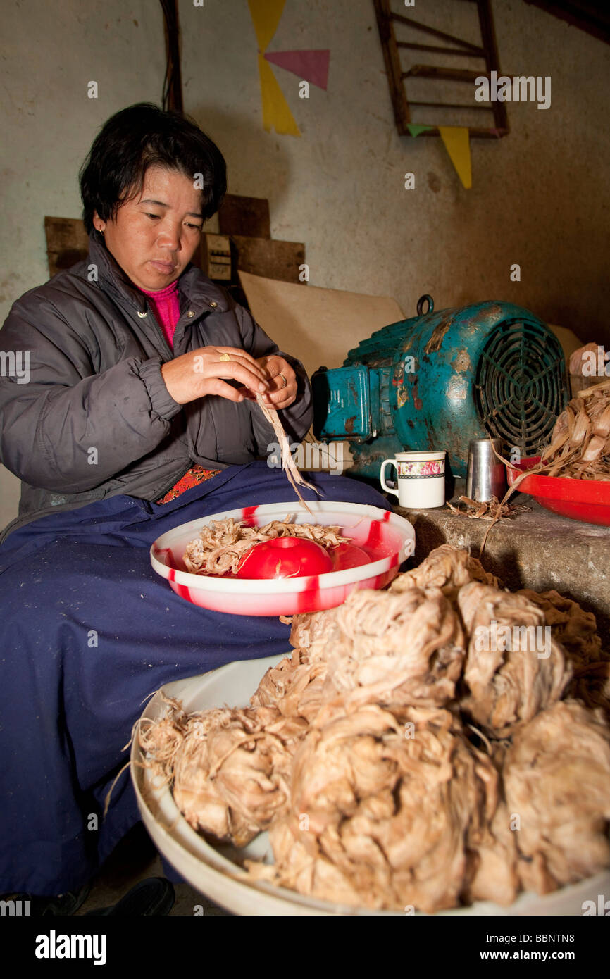 Women Workers stripping  fibers at Jungshi Handmade Paper Factory in Thimphu Bhutan, Asia 91022 Bhutan-Thimphu Stock Photo