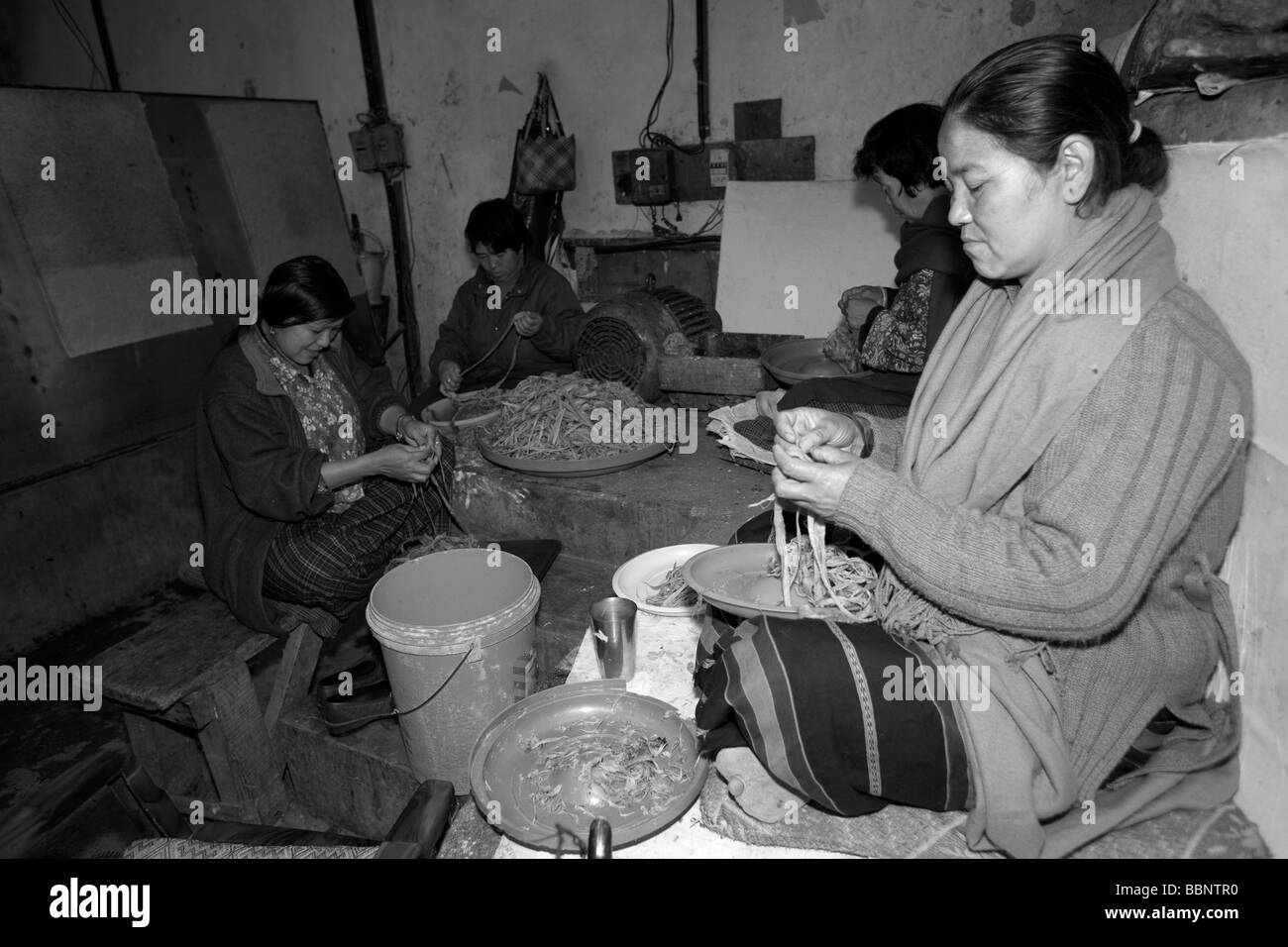 Women Workers stripping  fibers at Jungshi Handmade Paper Factory in Thimphu Bhutan, Asia 91020 Bhutan-Thimphu Black and white Stock Photo