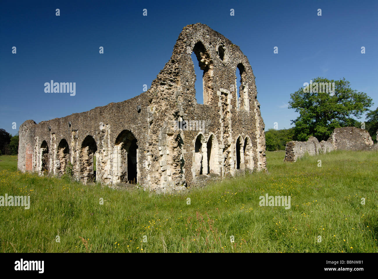 Waverley Abbey Stock Photo