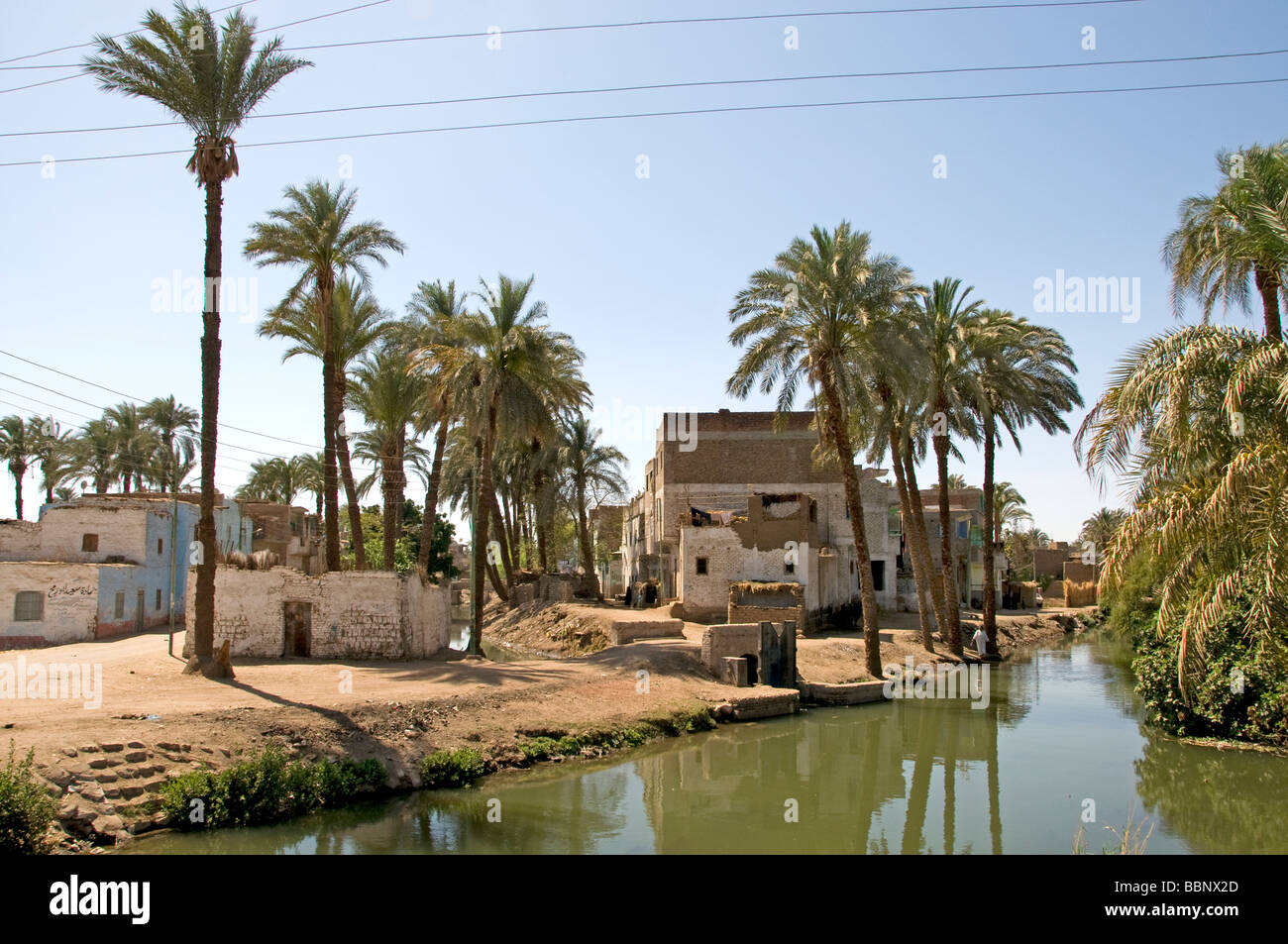 Nile River Egypt Farm Farmer agriculture field old village on the nile