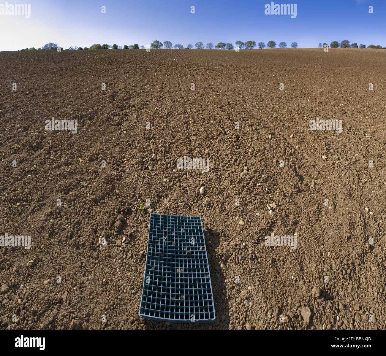 agriculture and farming in the english countryside Stock Photo Alamy