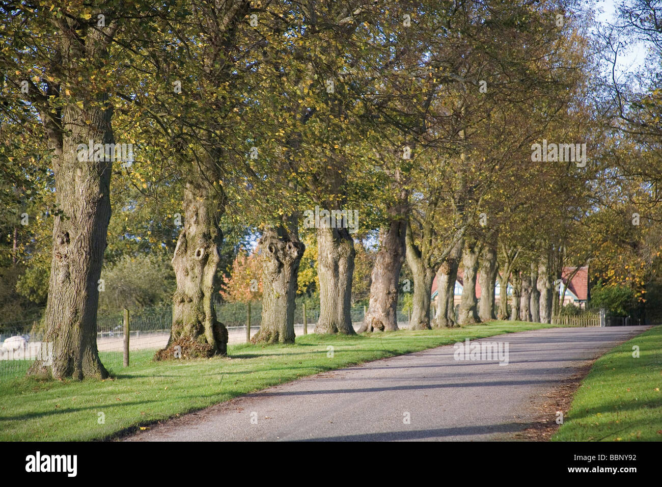 country lane estate warwickshire midlands england uk Stock Photo Alamy