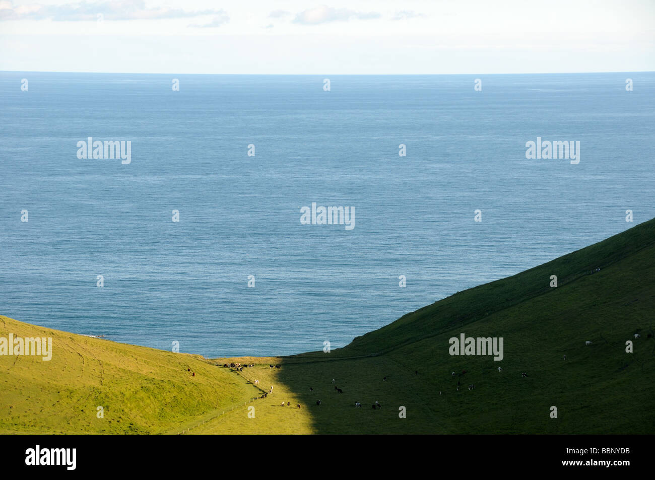 Scratchy Bottom Stock Photo