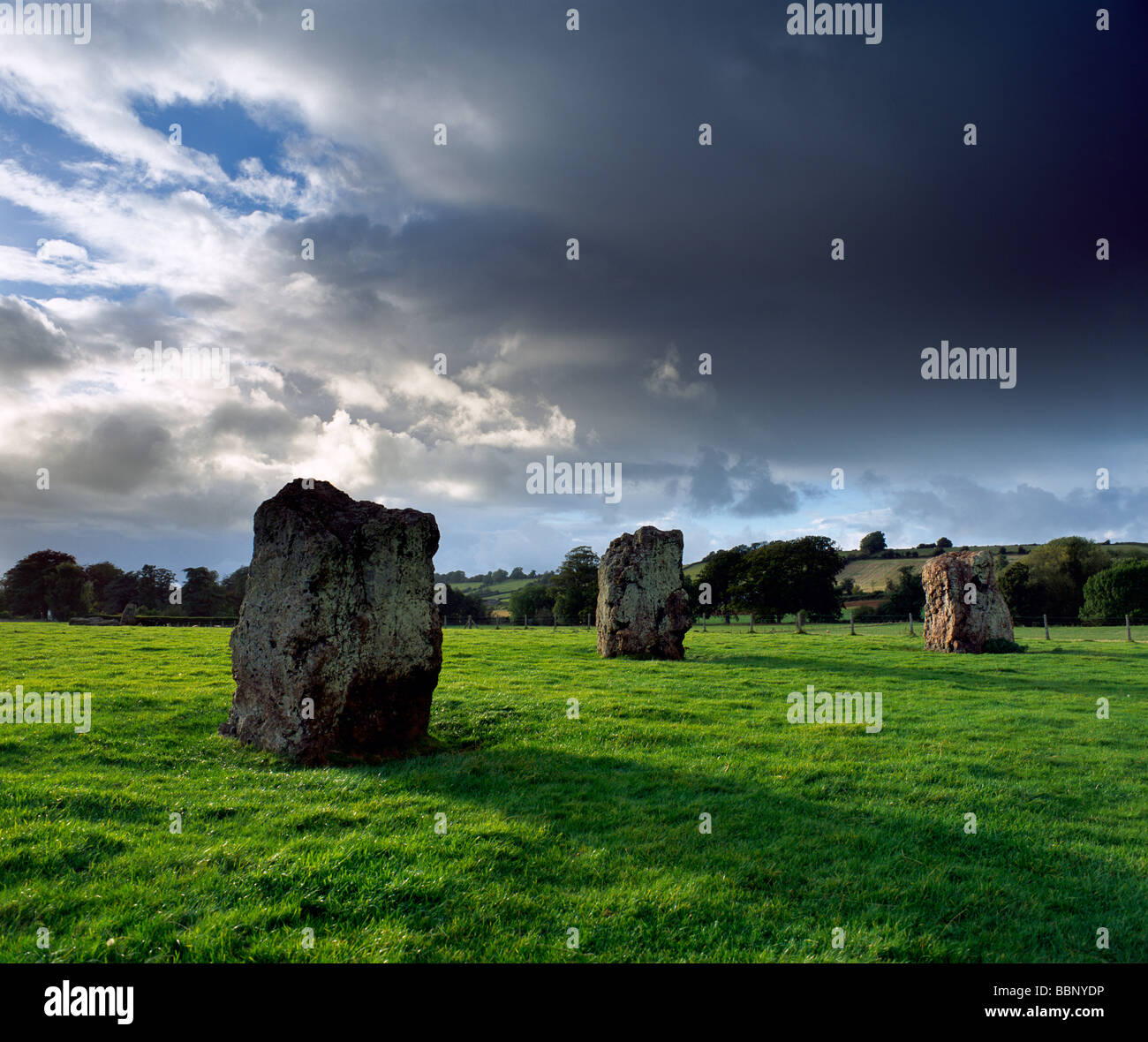 My Image 34