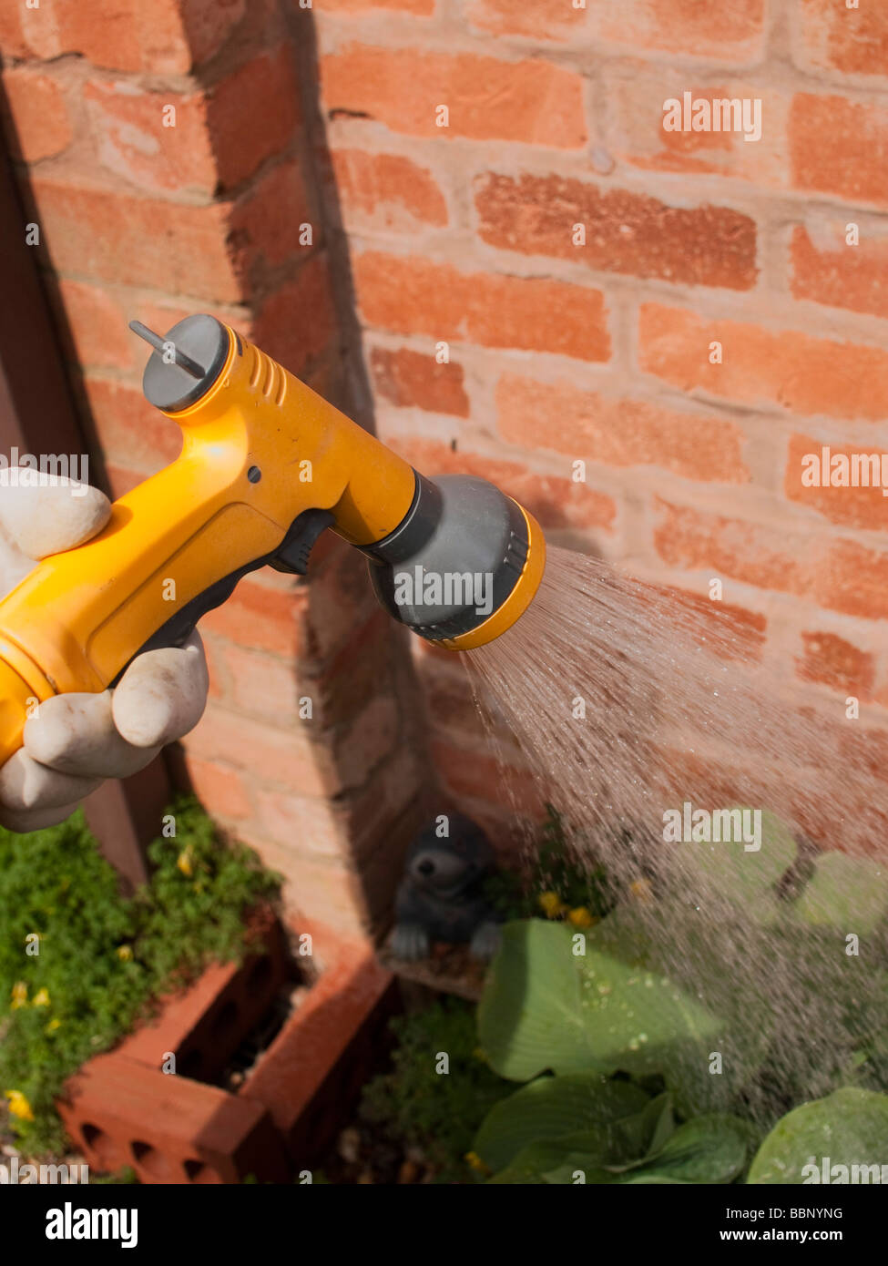 watering plants with a hosepipe in the garden Stock Photo Alamy