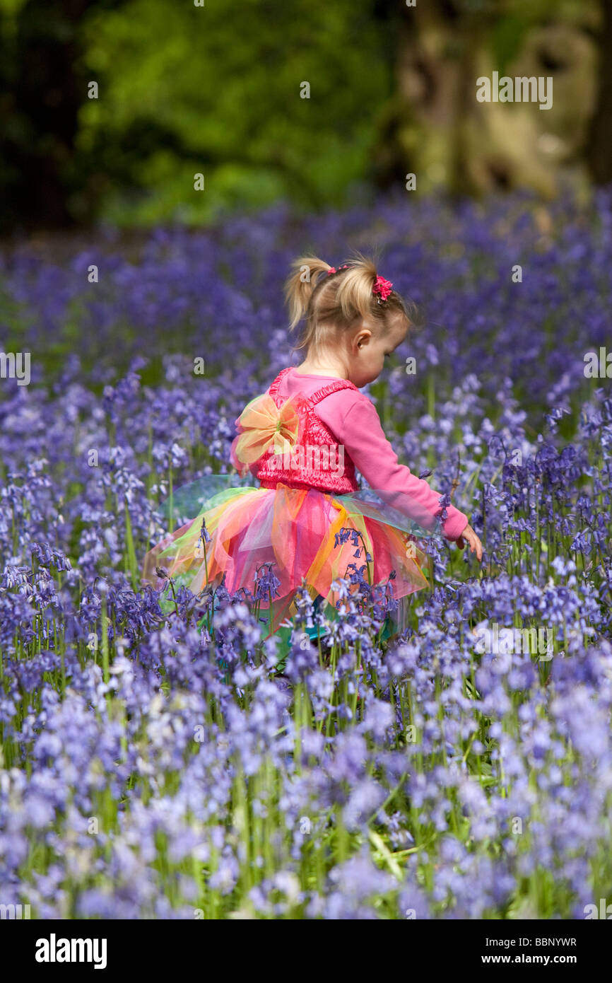 Young girl in fairy dress walking through a wood full of bluebells in  Cheshire, England Stock Photo - Alamy