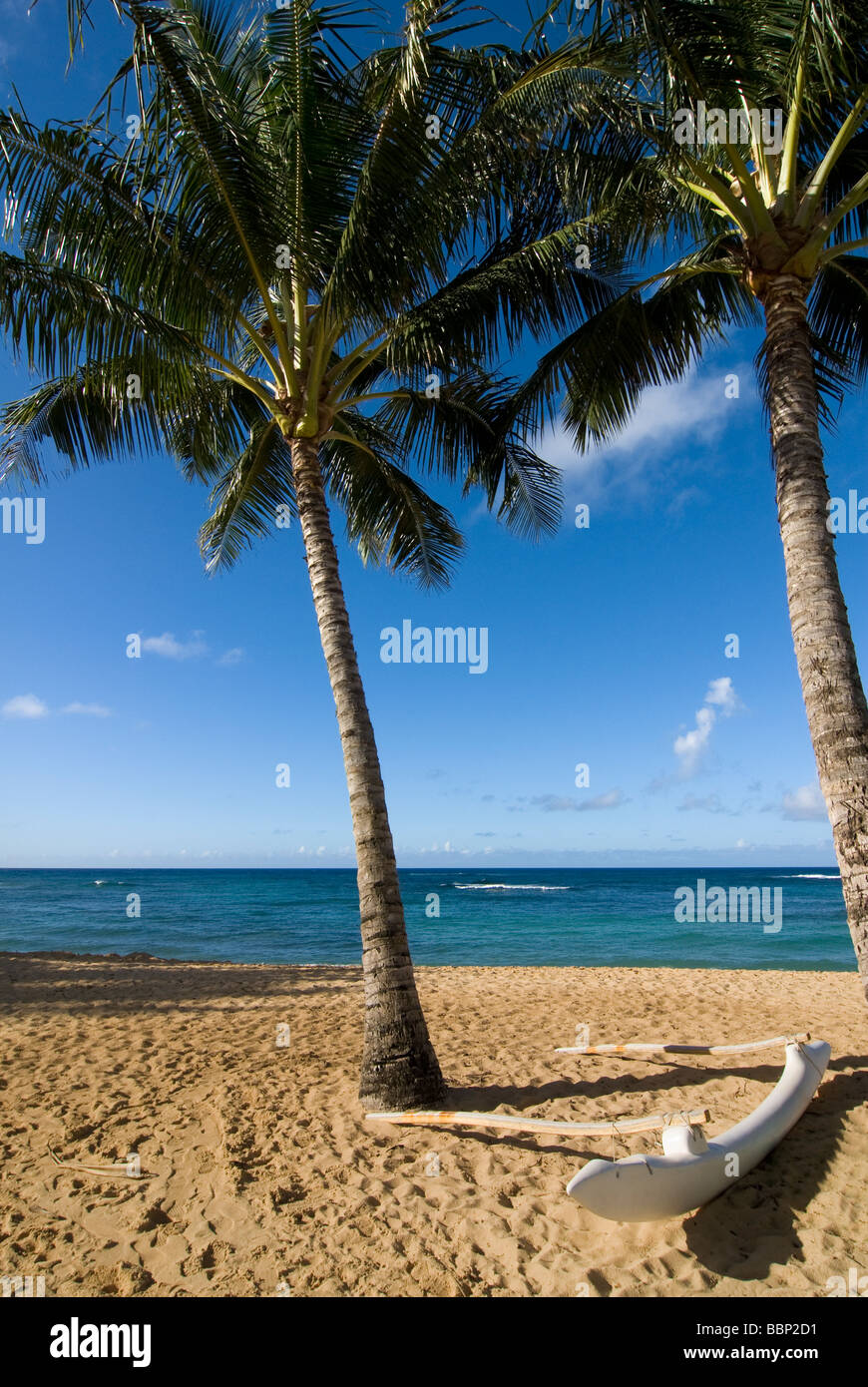 Hawaii beaches palm trees hi-res stock photography and images - Alamy