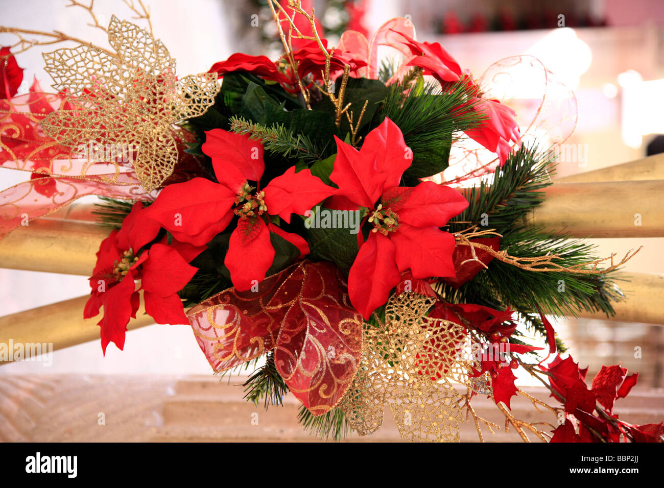 Flower Decoration Of Christmas Stars Used In December Specially