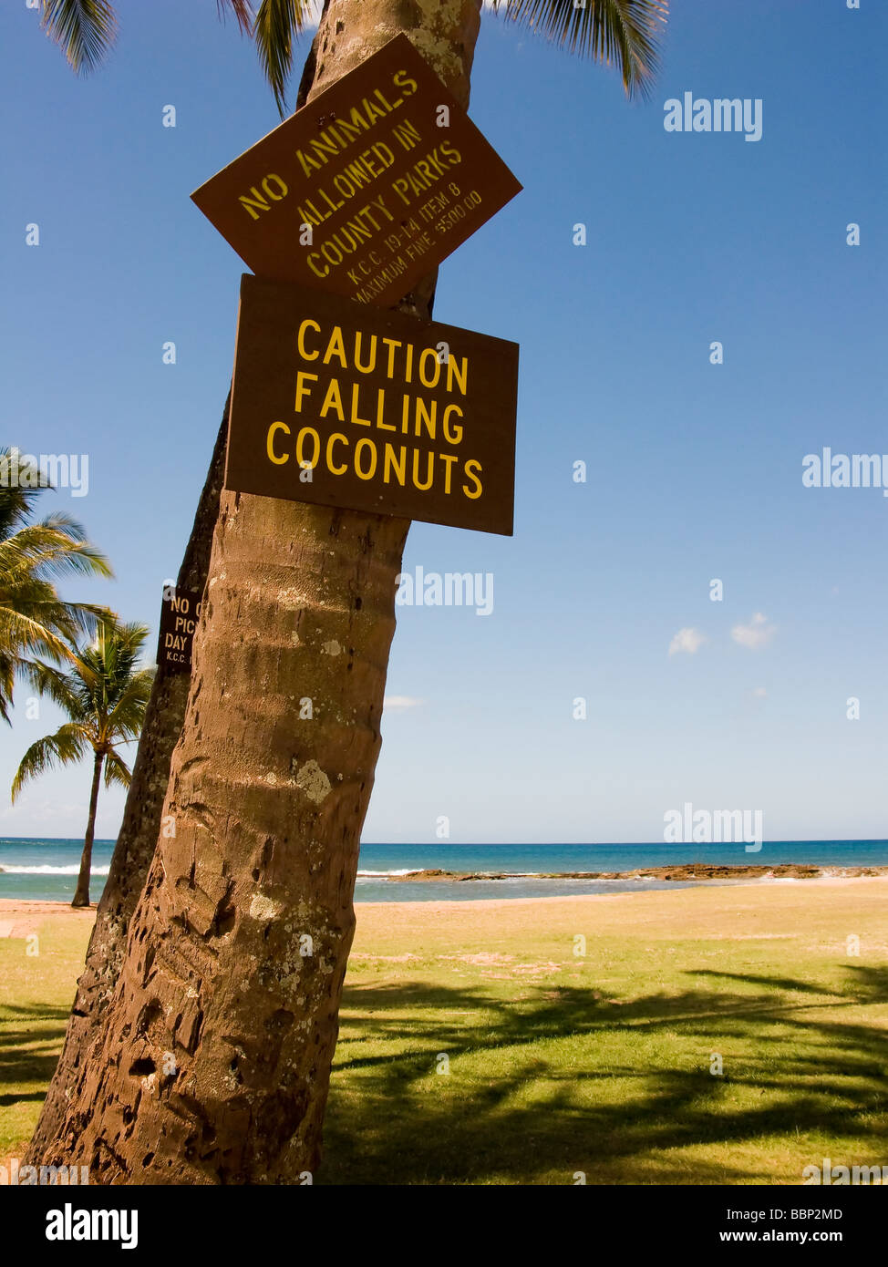 Caution Falling Coconuts sign at Salt Pond Beach Park on Kauai Hawaii