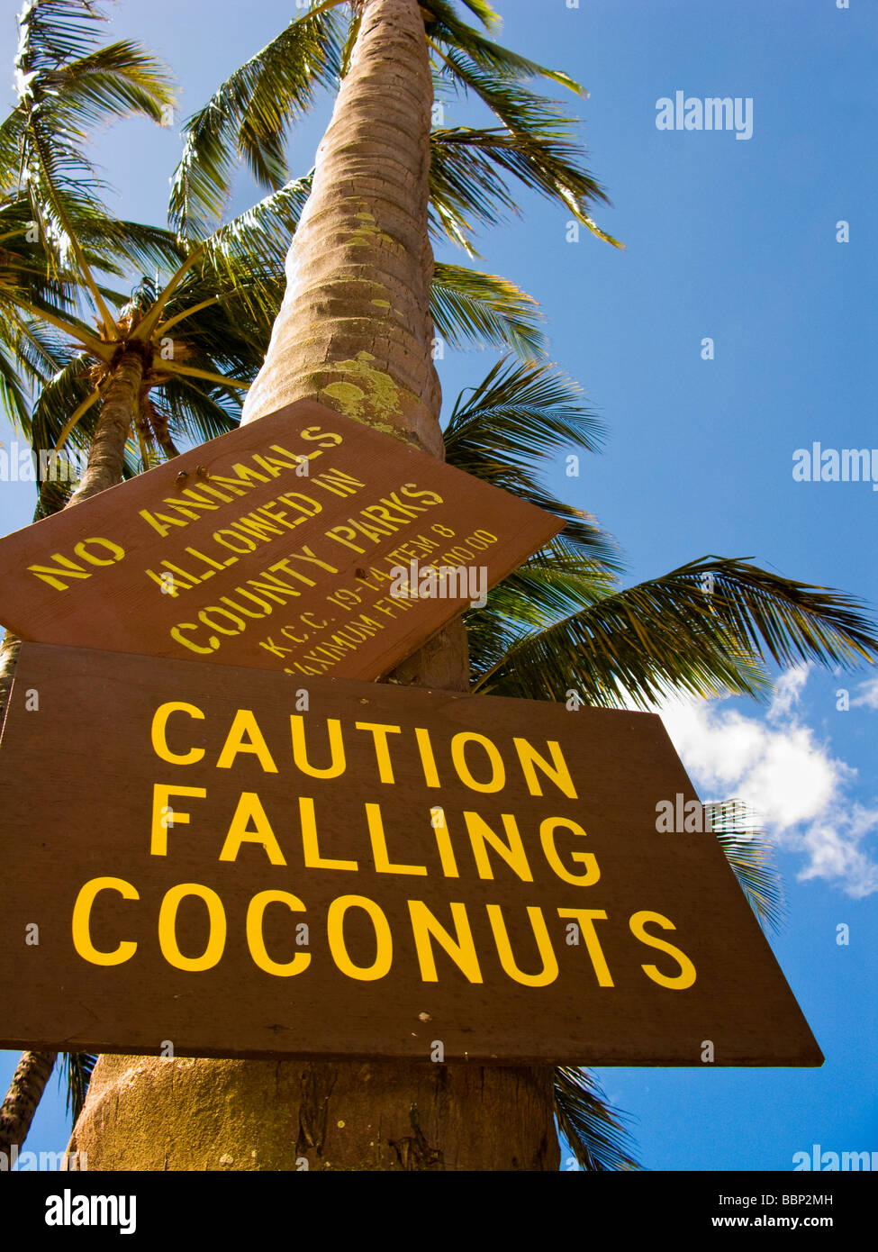 Caution Falling Coconuts sign at Salt Pond Beach Park on Kauai Hawaii