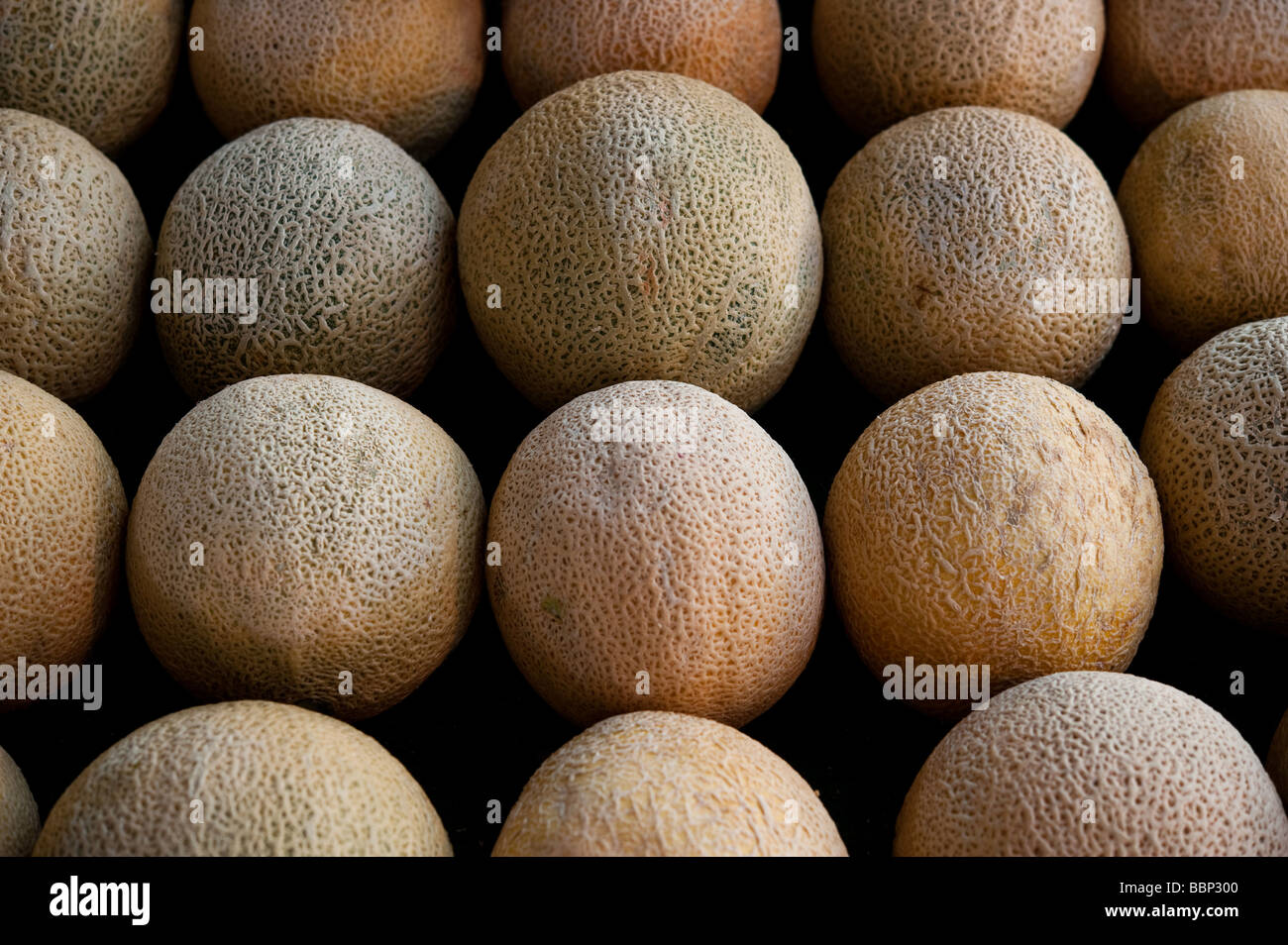 Canteloupe garden hires stock photography and images Alamy