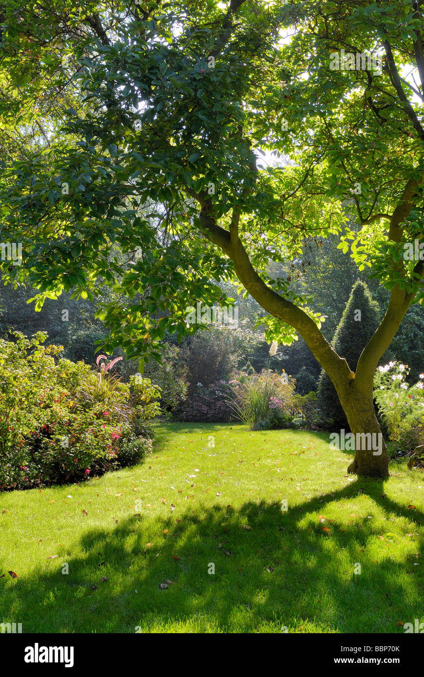 AUTUMNAL GARDEN Stock Photo