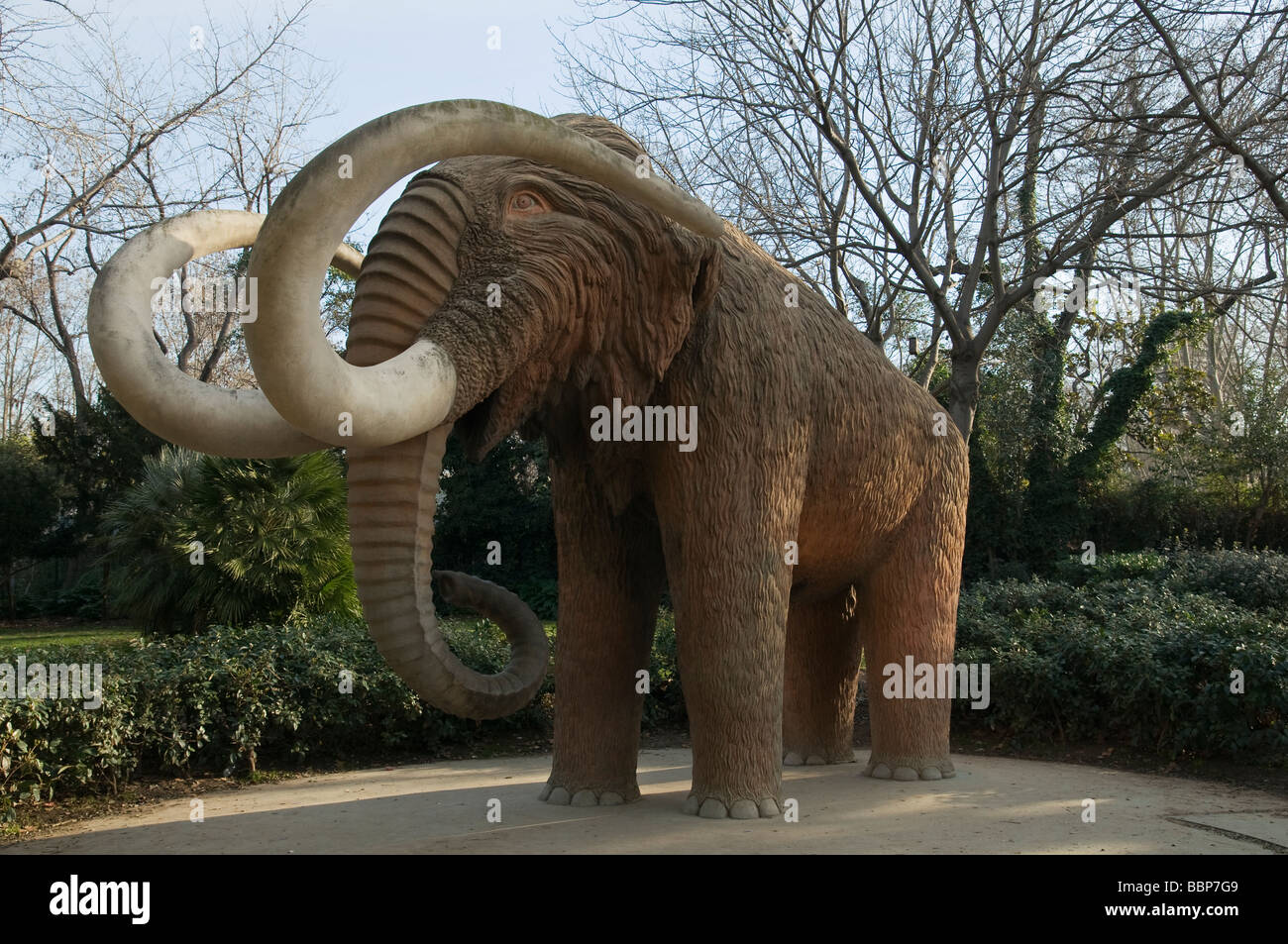 Mammoth. Stock Photo