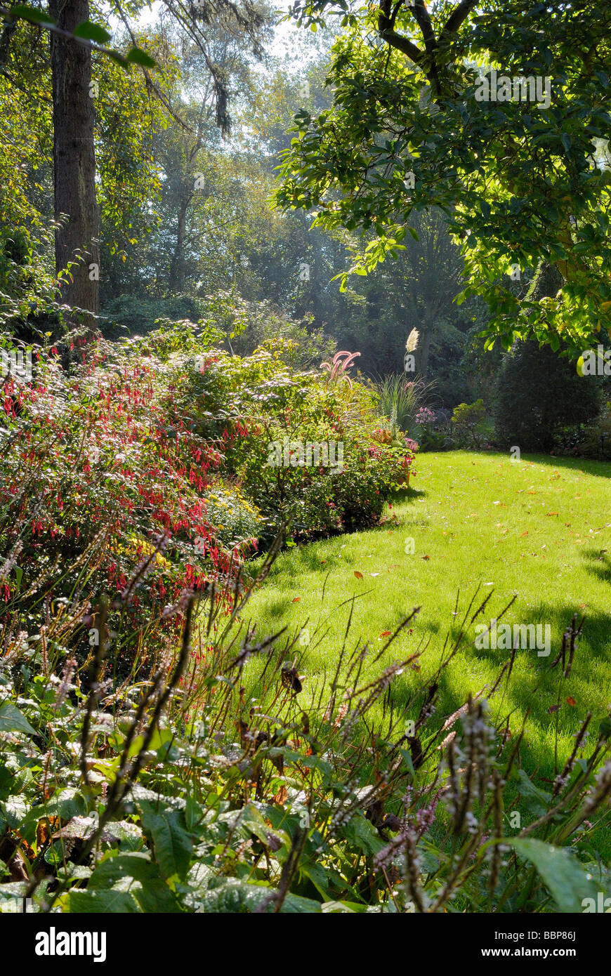 AUTUMNAL GARDEN Stock Photo