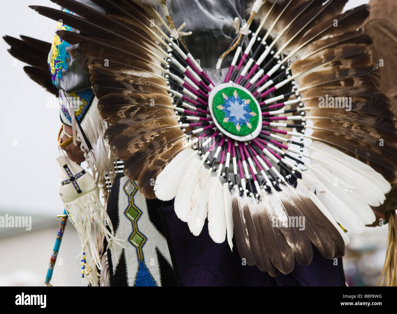 Native American Eagle Feather Law: Sacred Objects & Legal Protection