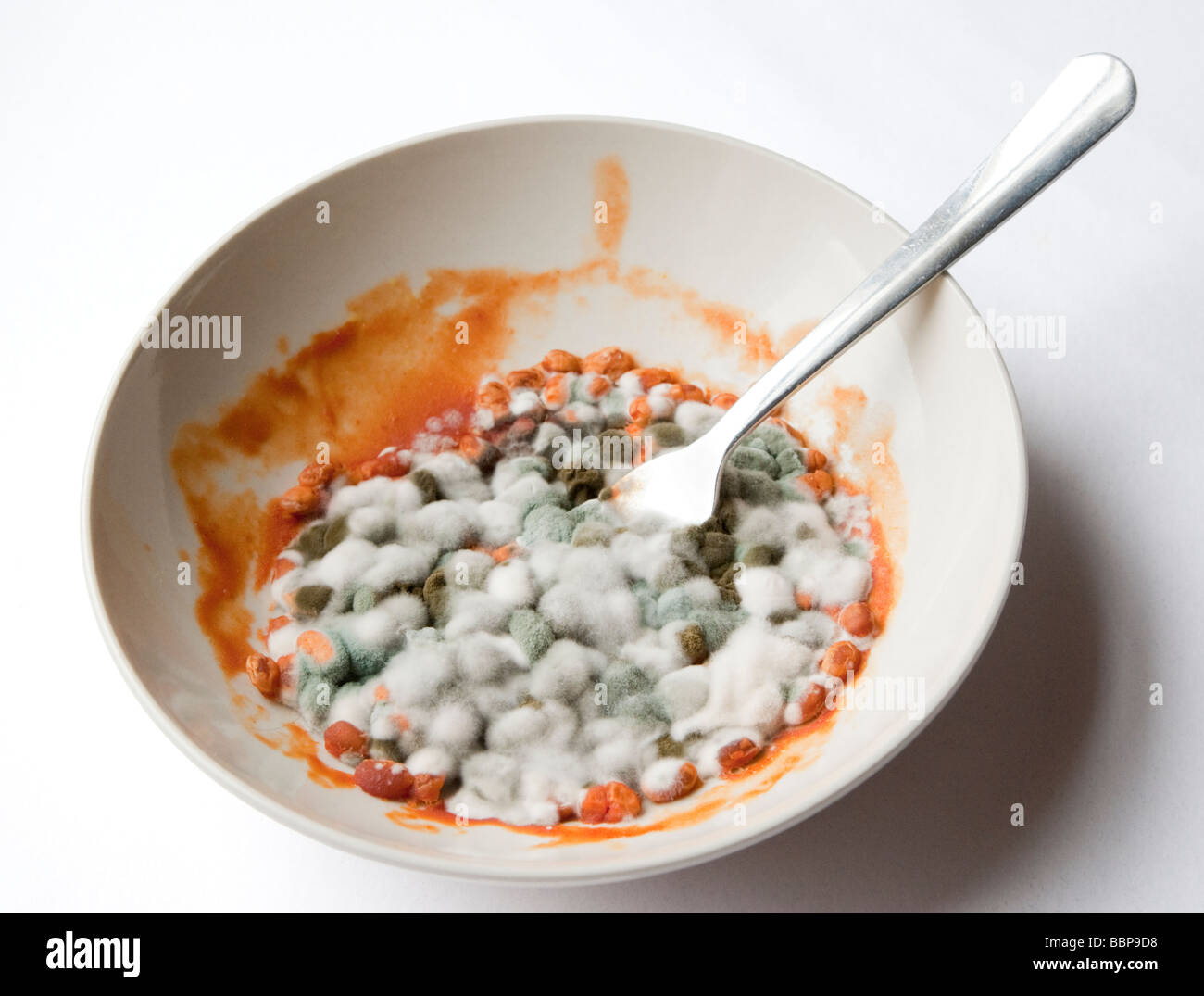 Mouldy baked beans in bowl with fork Stock Photo