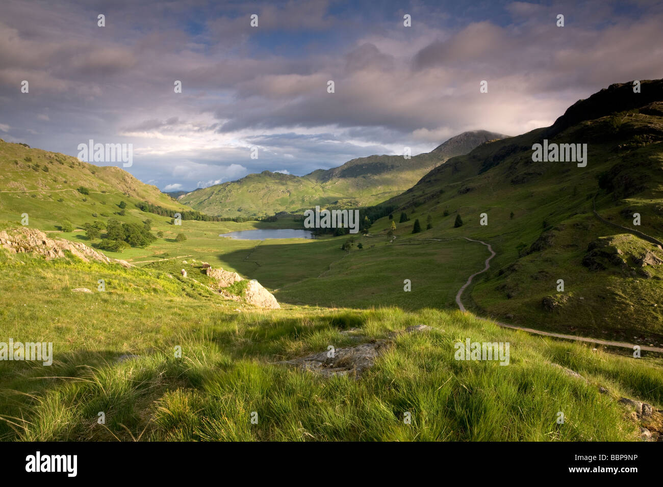 Blea Tarn is in a hanging valley between Little Langdale and the larger Great Langdale in the Lake District and is a popular walking route Stock Photo