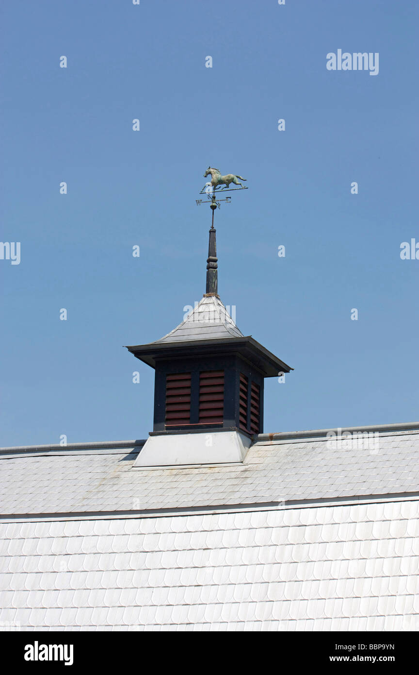 weathervane on top of cupola on old barn Stock Photo Alamy