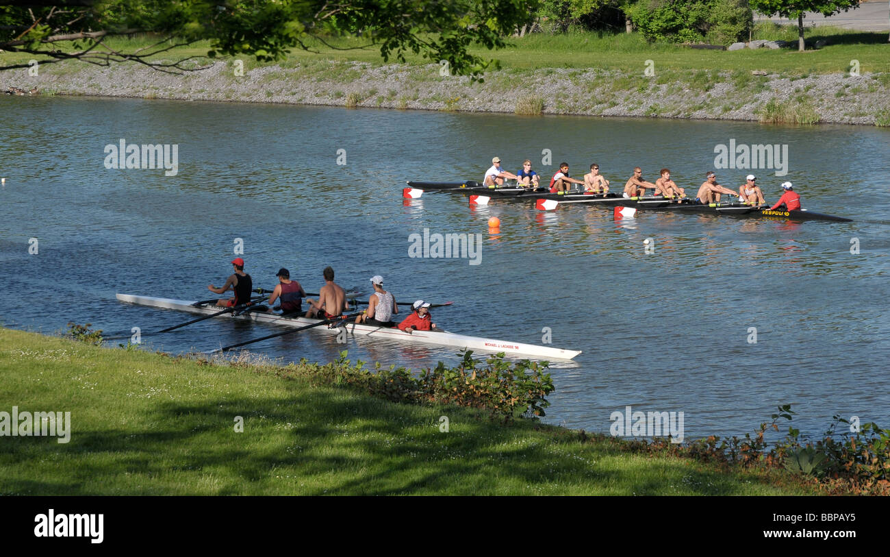 High school rowing team in training Stock Photo - Alamy