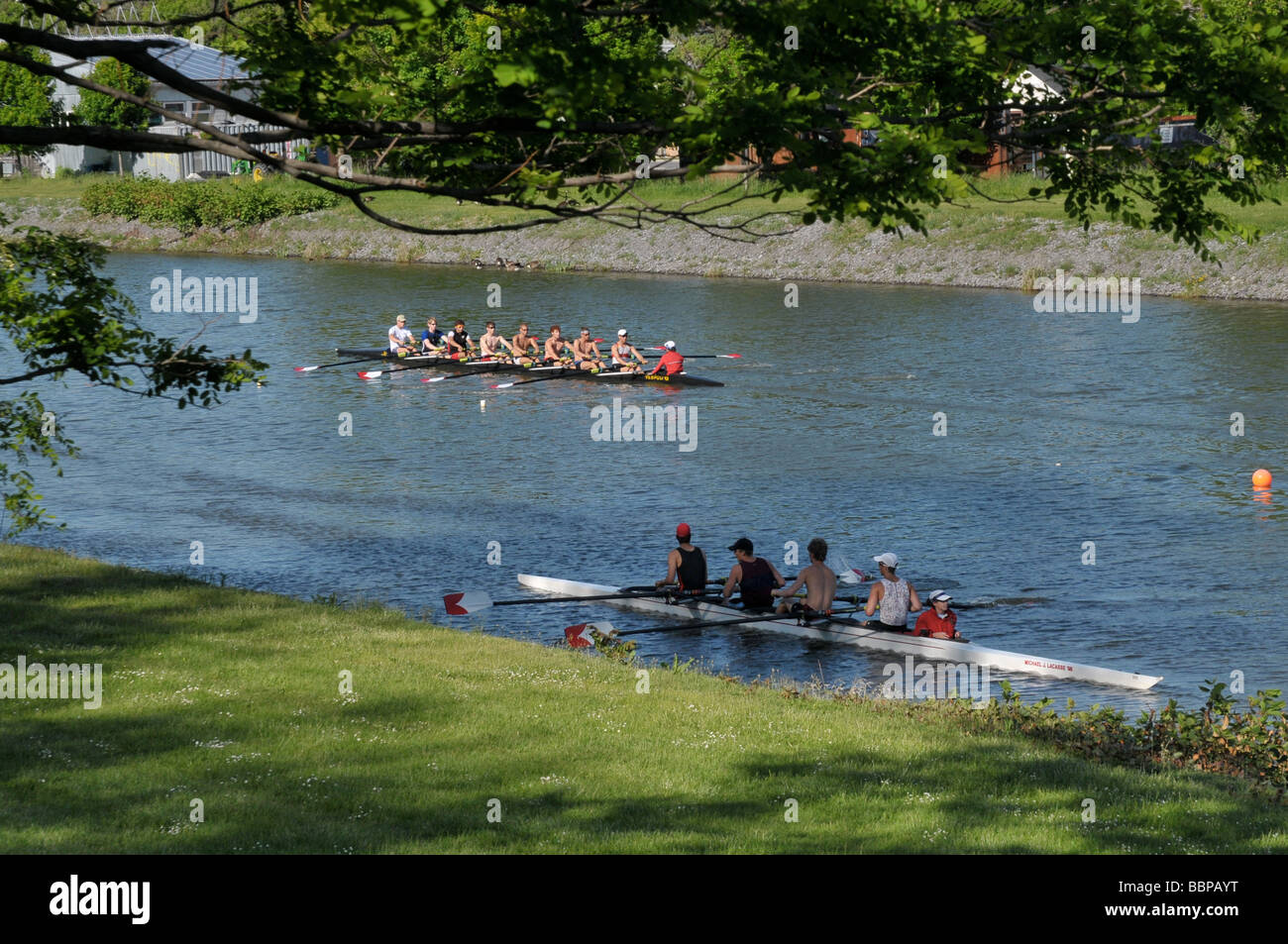 High school rowing team in training Stock Photo Alamy