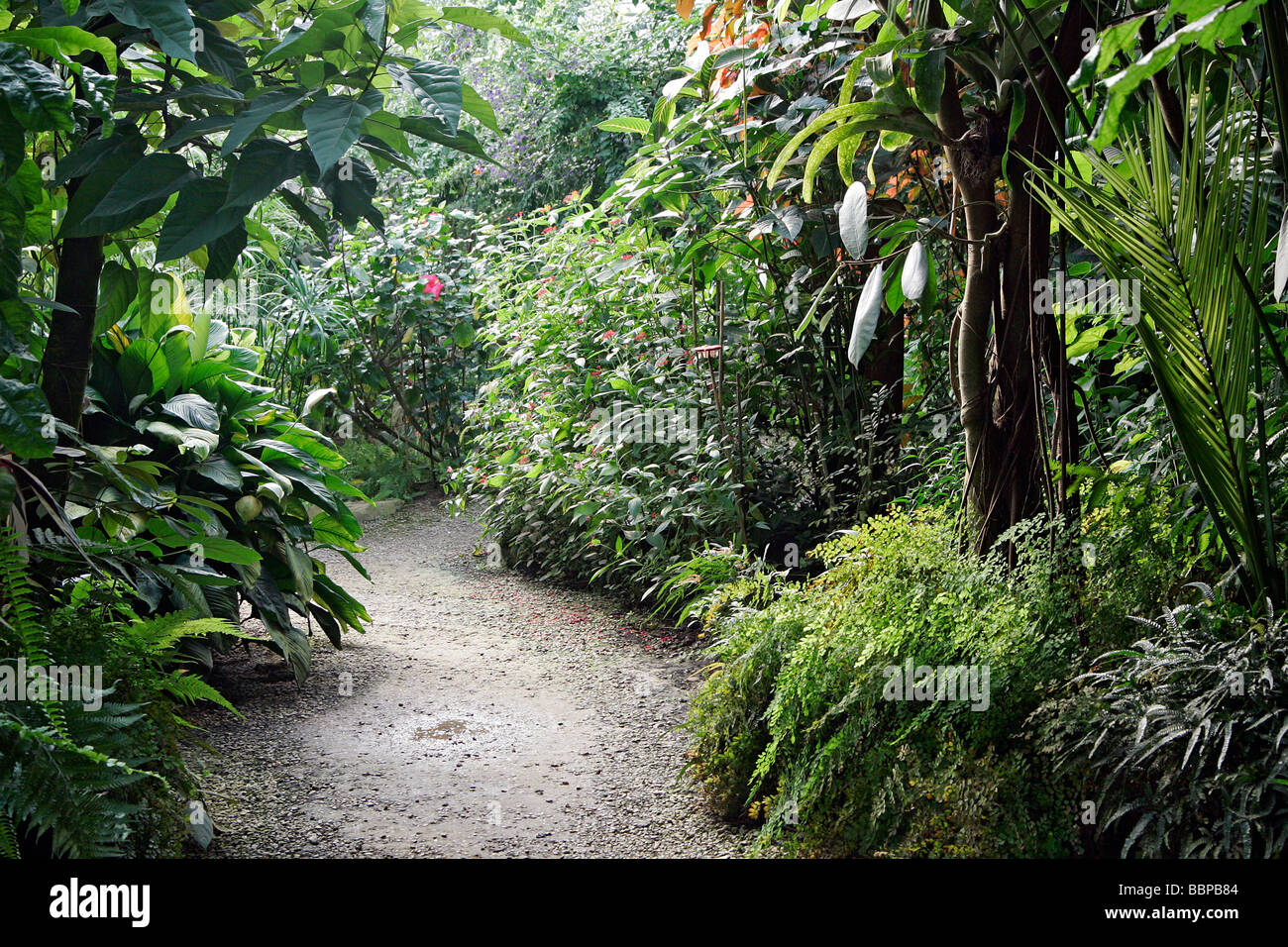 HOUSE OF TROPICAL BUTTERFLIES, NATUROSPACE, HONFLEUR, CALVADOS (14