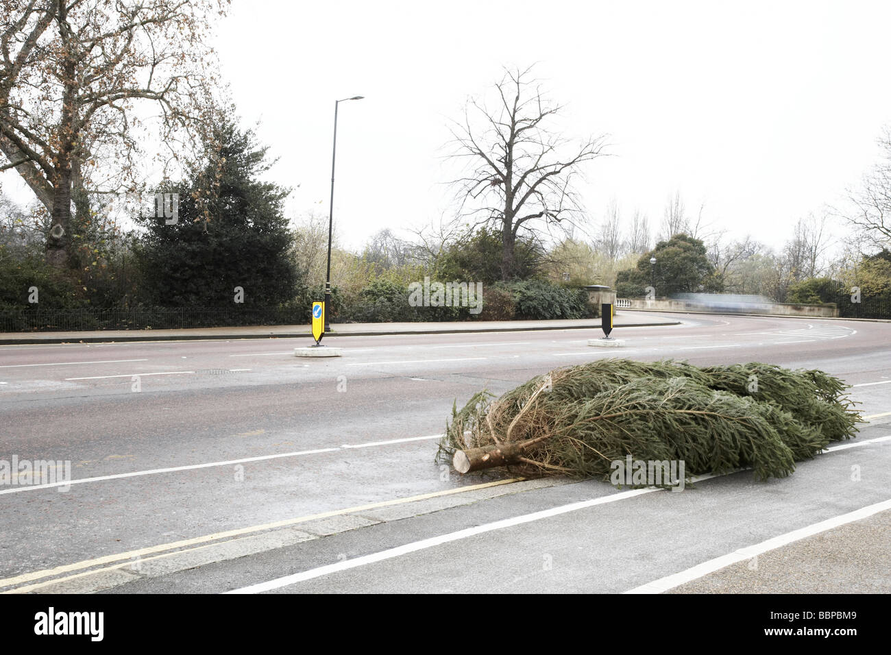 Christmas tree, abandoned on a road Stock Photo Alamy