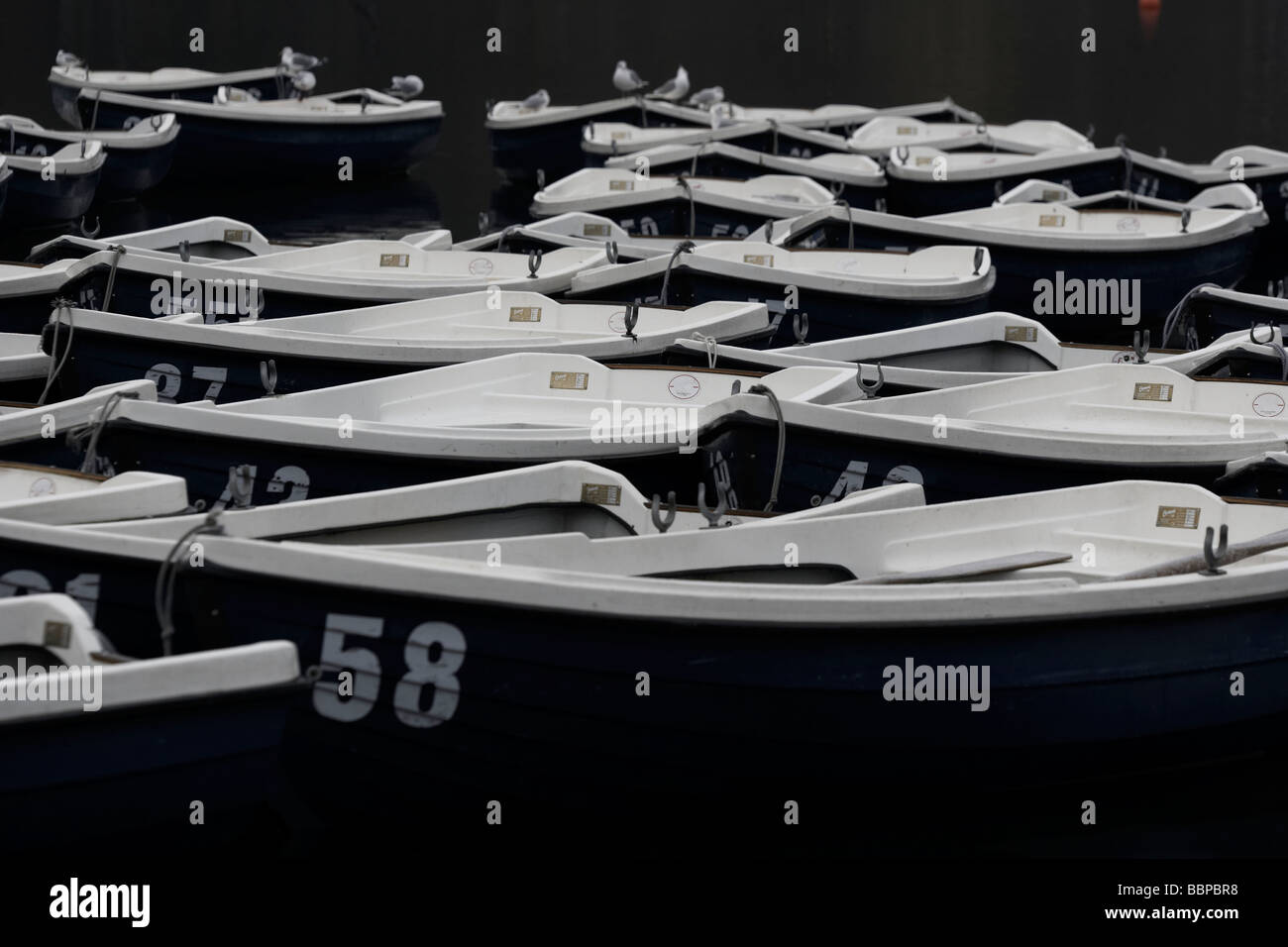 London boat hire hires stock photography and images Alamy