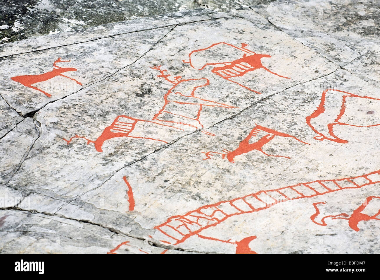 Norway rock carvings hires stock photography and images Alamy