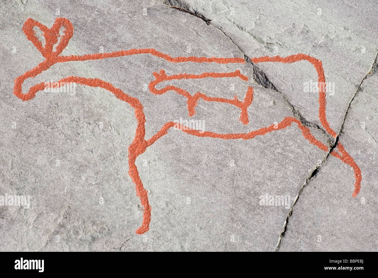ancient rock carvings (petroglyphs) in Alta, Norway Stock Photo Alamy