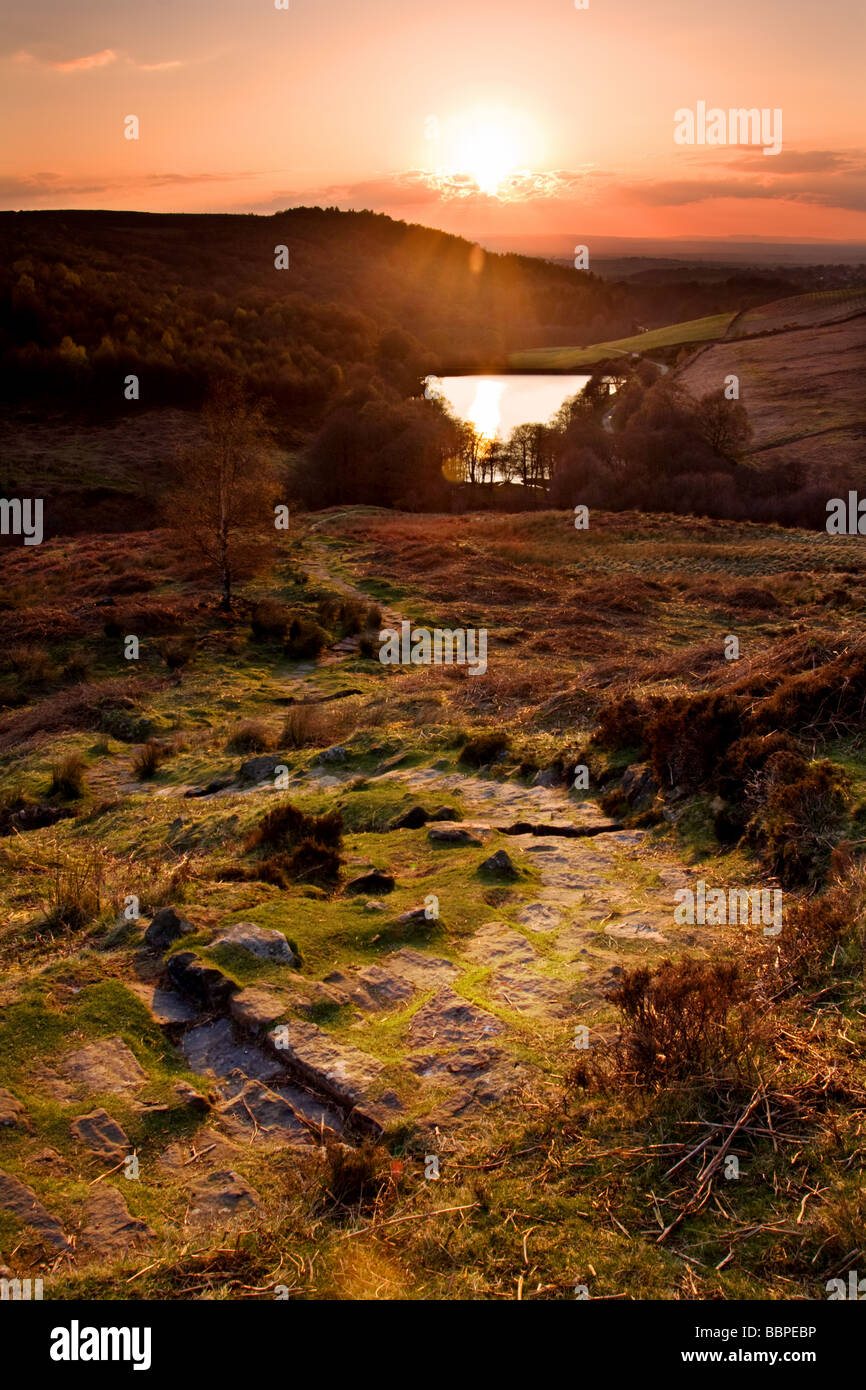 Sunny Side of the Street Stock Photo Alamy