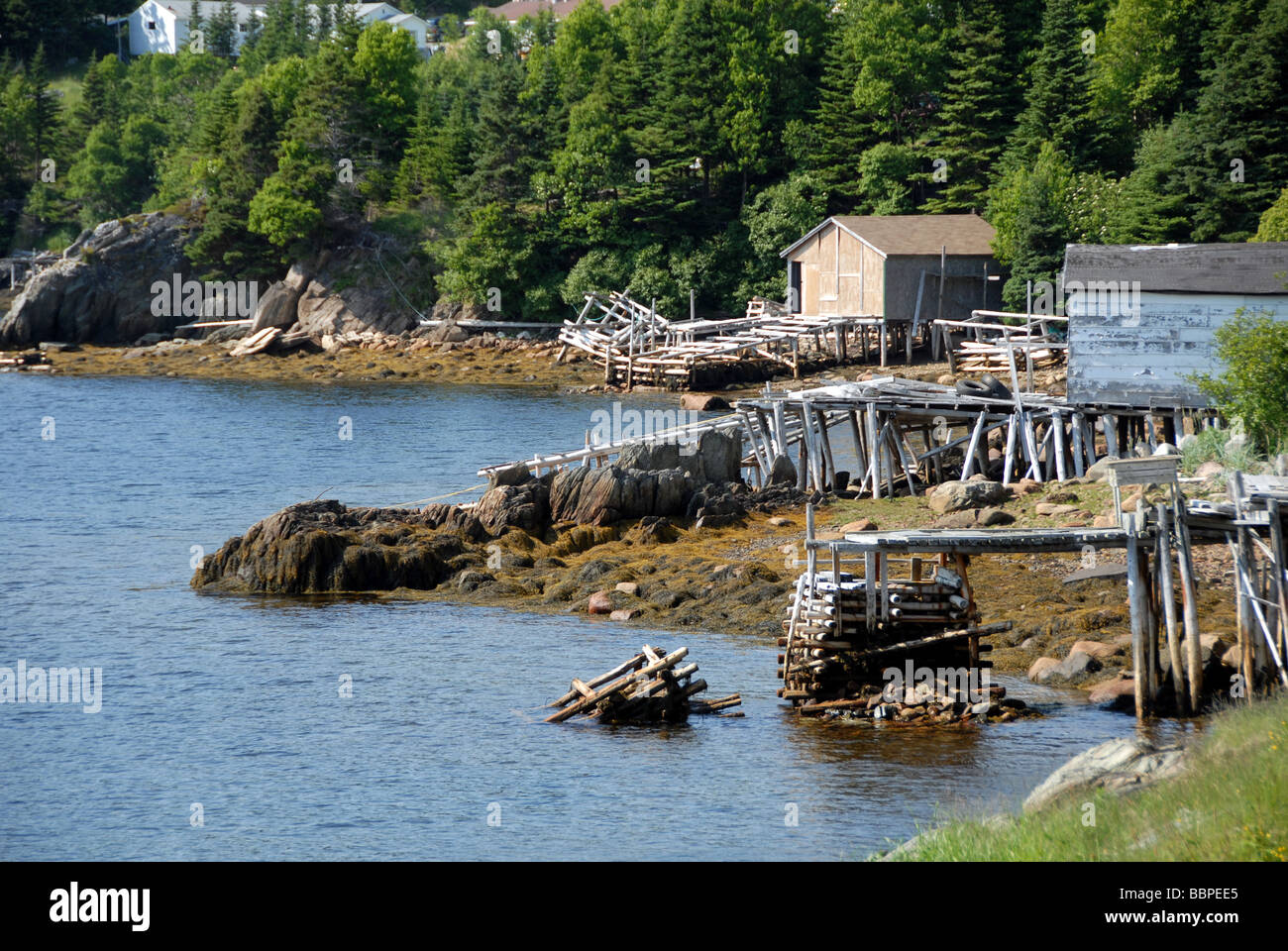 Garden Cove Newfoundland Canada Stock Photo Alamy
