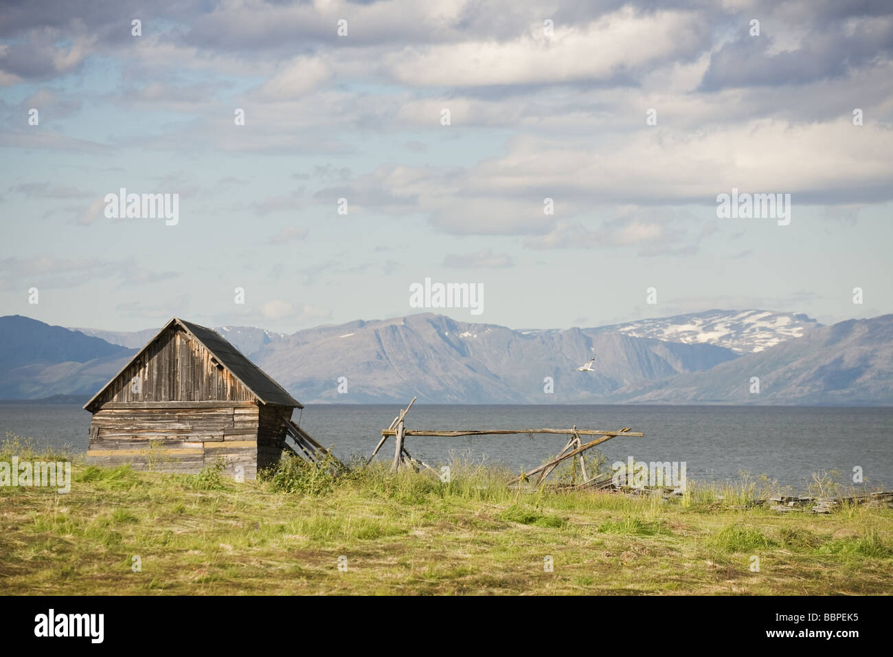 Small wooden house on sea coast North Sea Norway Stock Photo - Alamy