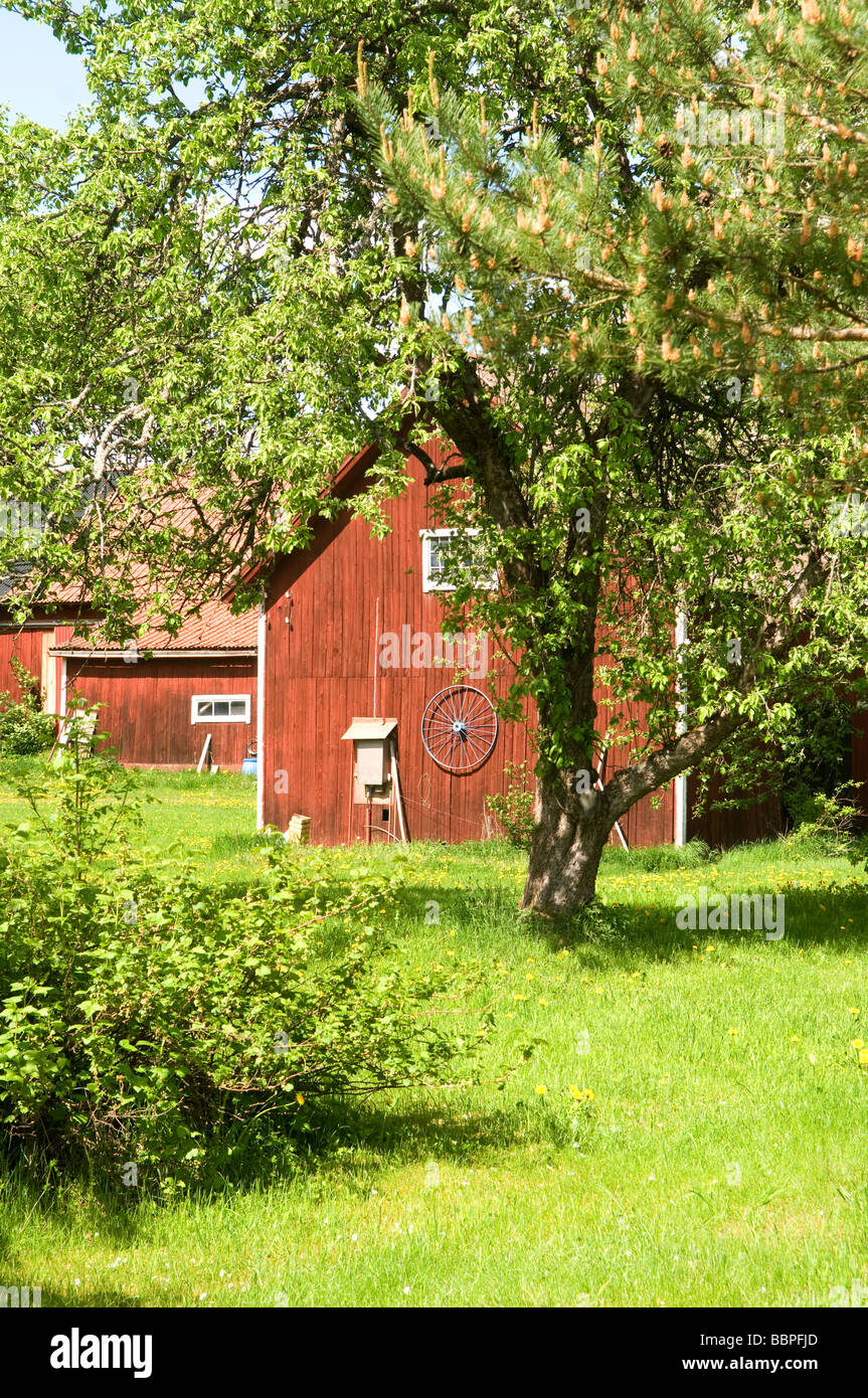 Red barn in Skuttunge, Sweden Stock Photo