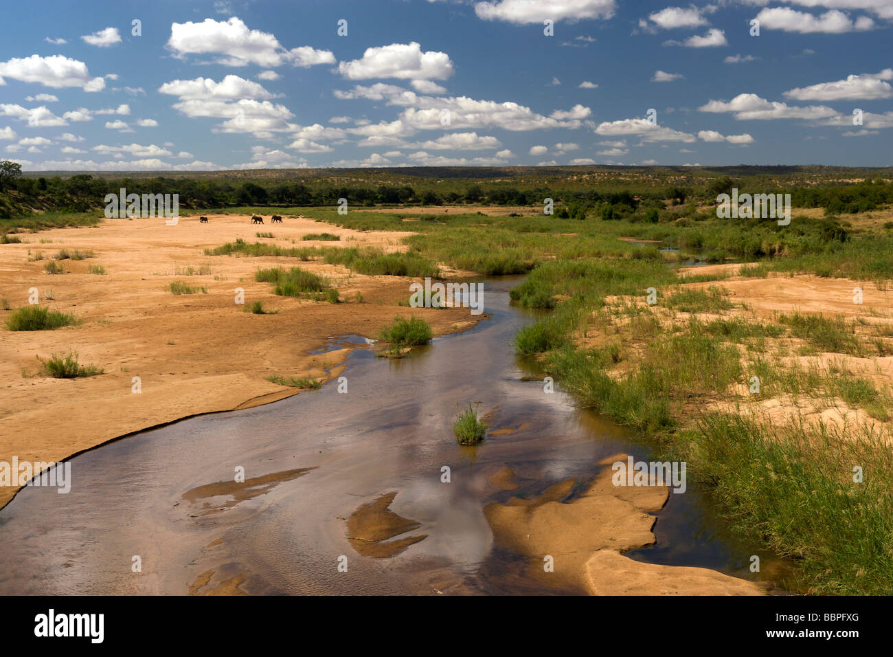 View of the Letaba River and surrounding landscape in the Kruger National Park in South Africa. Stock Photo