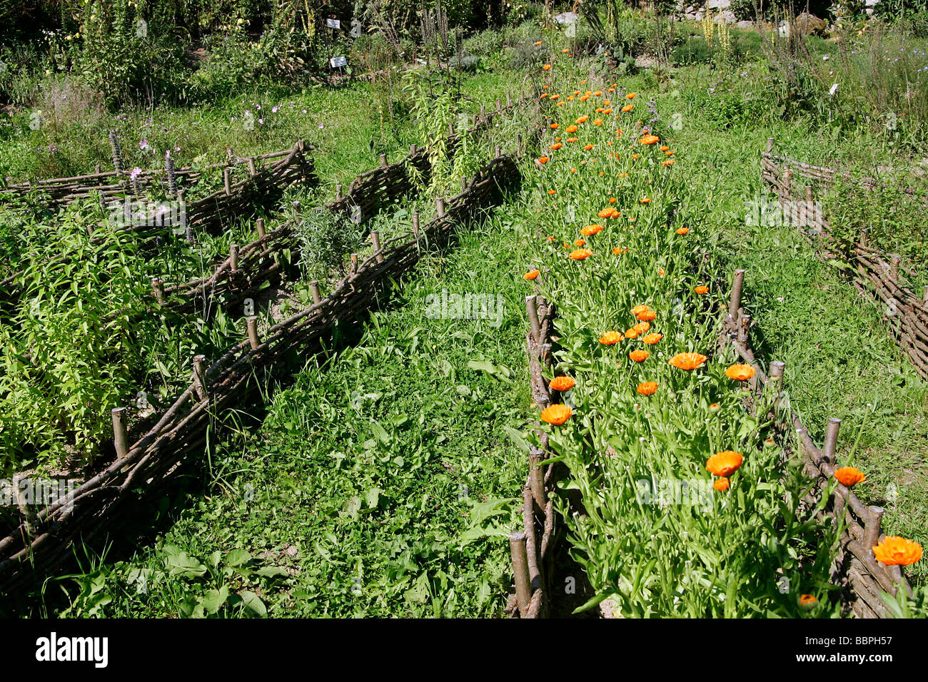Garden Of The Herbs Of Life Mercin Merinchal Creuse 23 France Stock Photo Alamy