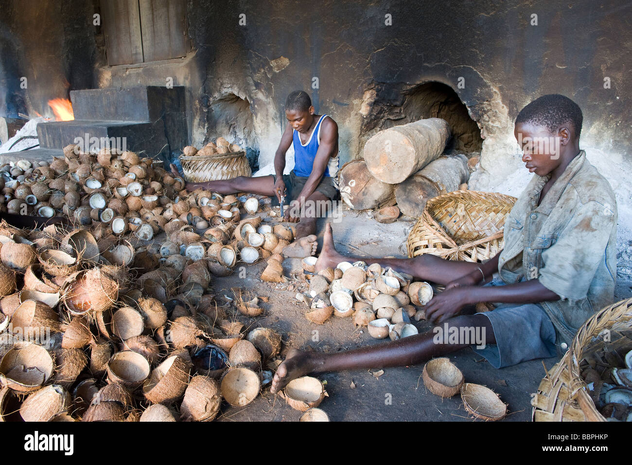 Boys remove the dried meat called copra from the coconut shell