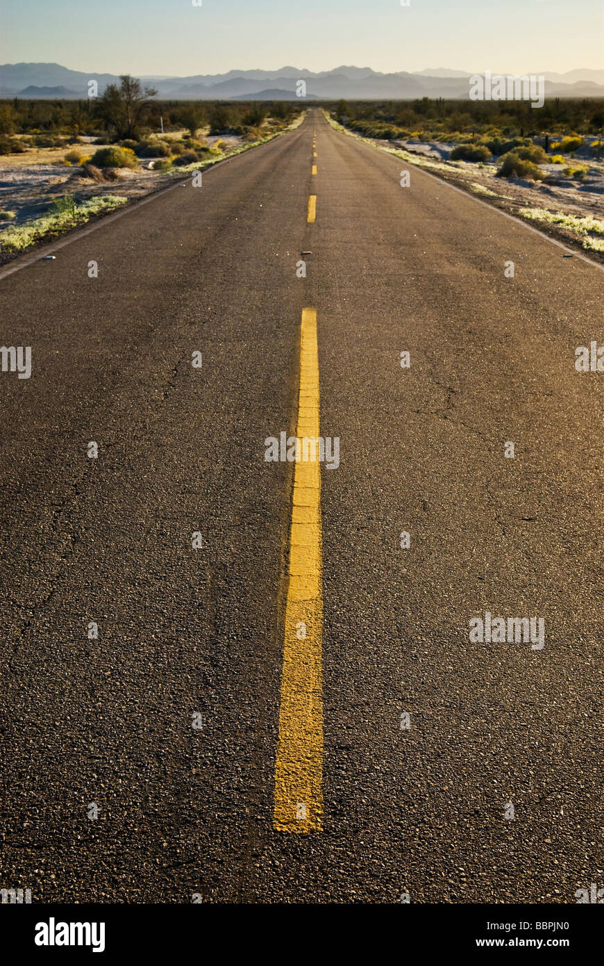 Mexico baja california desert hi-res stock photography and images - Alamy