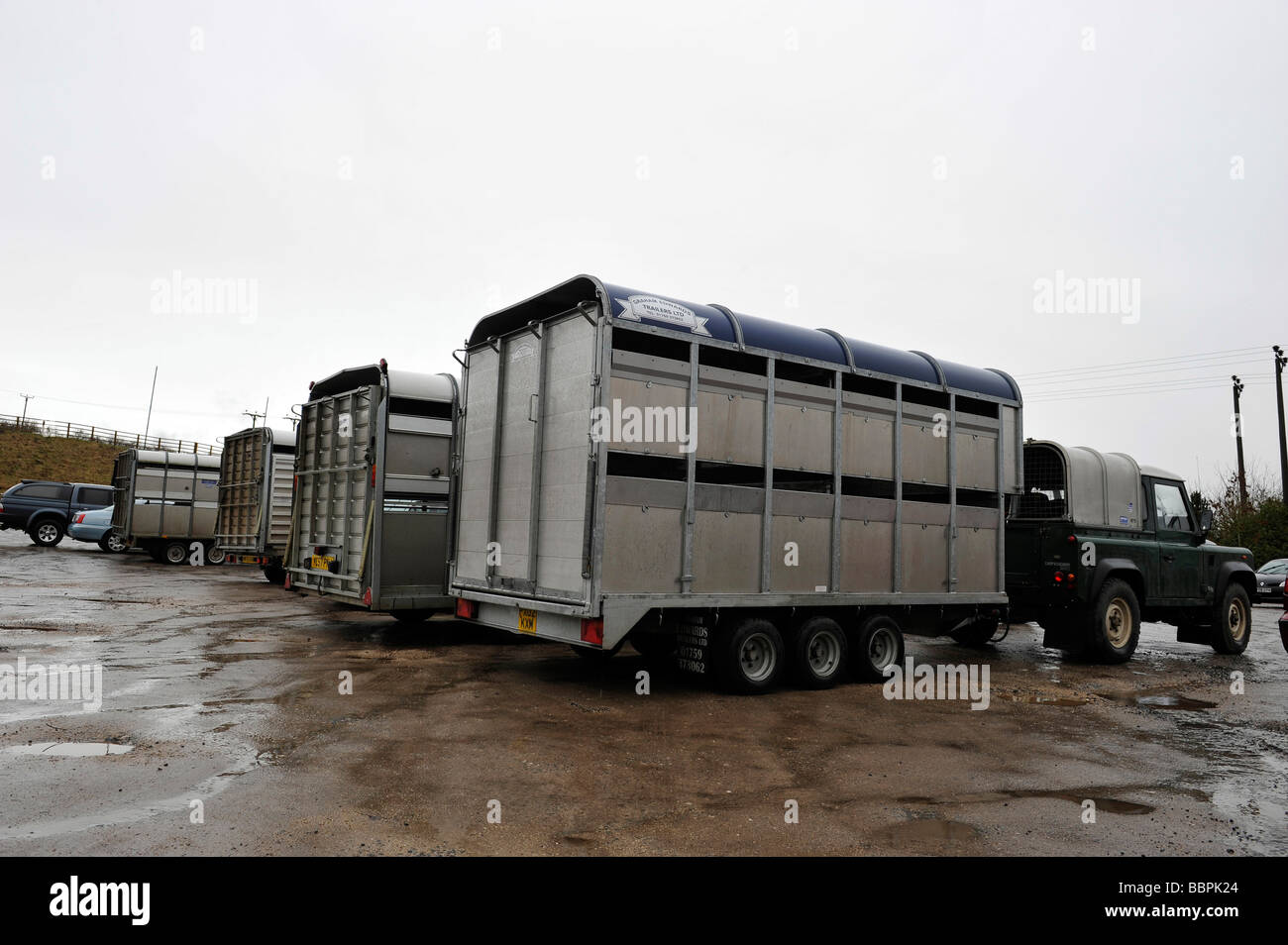 Livestock trailer and Land Rover in the parking area of an auction mart Stock Photo