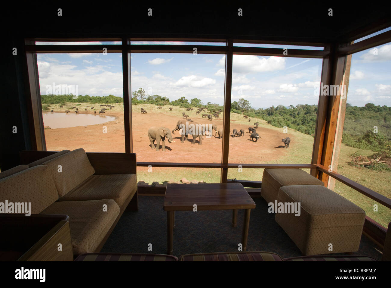 Interior of the Ark Lodge with view of wildlife at waterhole - Aberdares National Park, Kenya Stock Photo