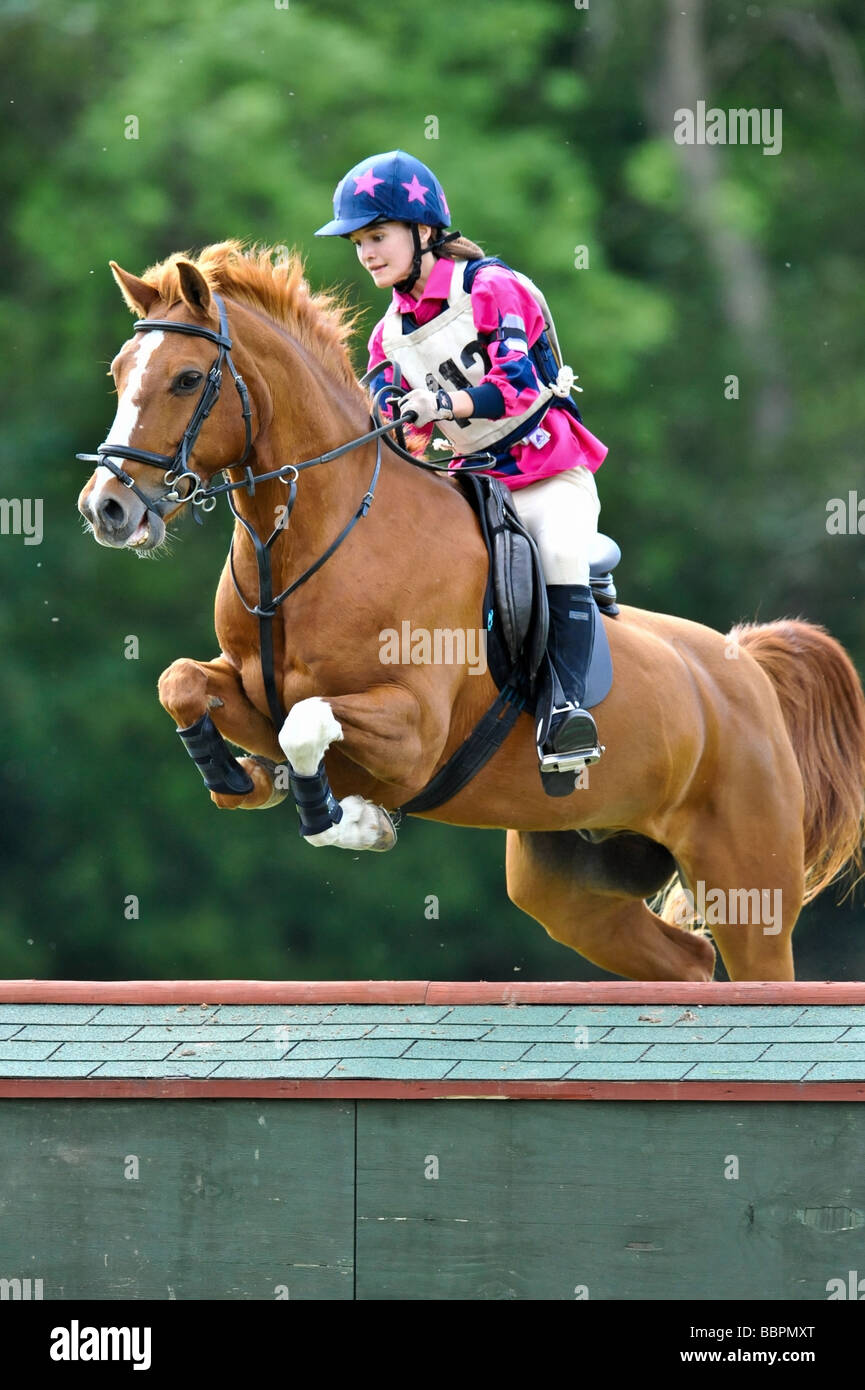 Cross Country Eventing UK Stock Photo Alamy
