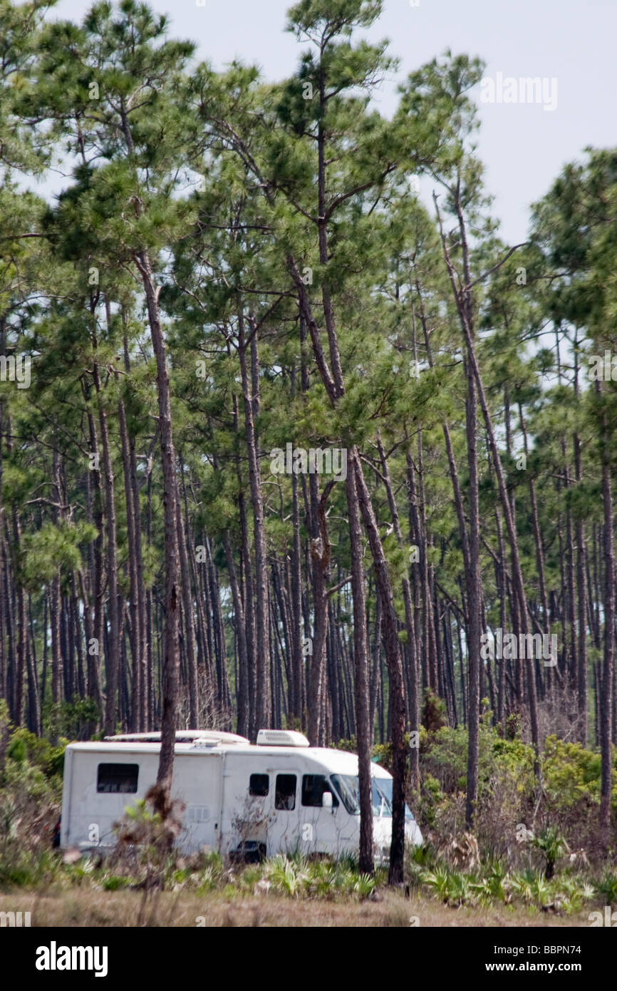 A camper rests amidst a forest of long pine trees at 'Long Pine Key,' near the eastern edge of the Everglades National Park. Stock Photo