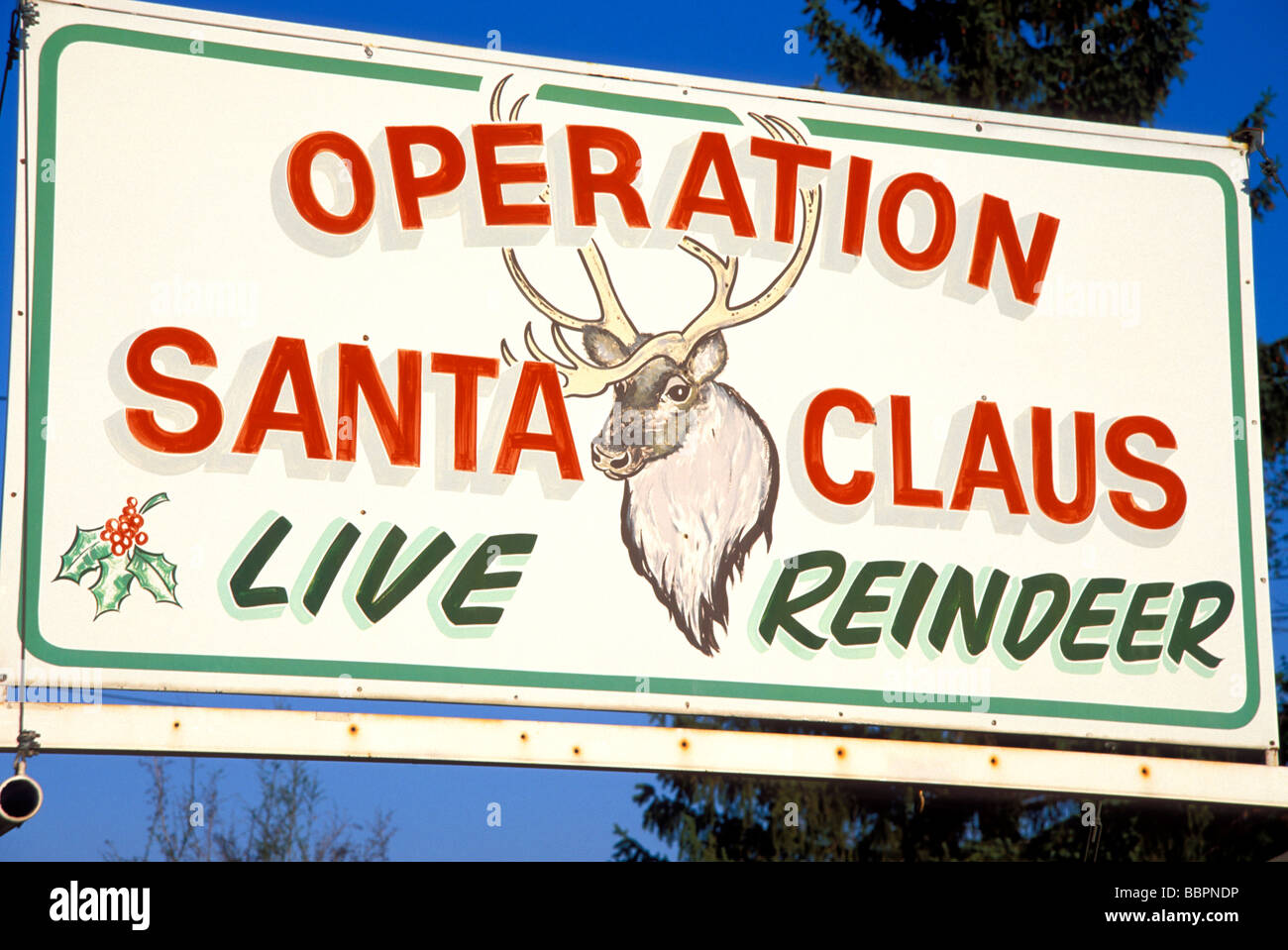 Operation Santa Claus reindeer farm Redmond Oregon Stock Photo Alamy