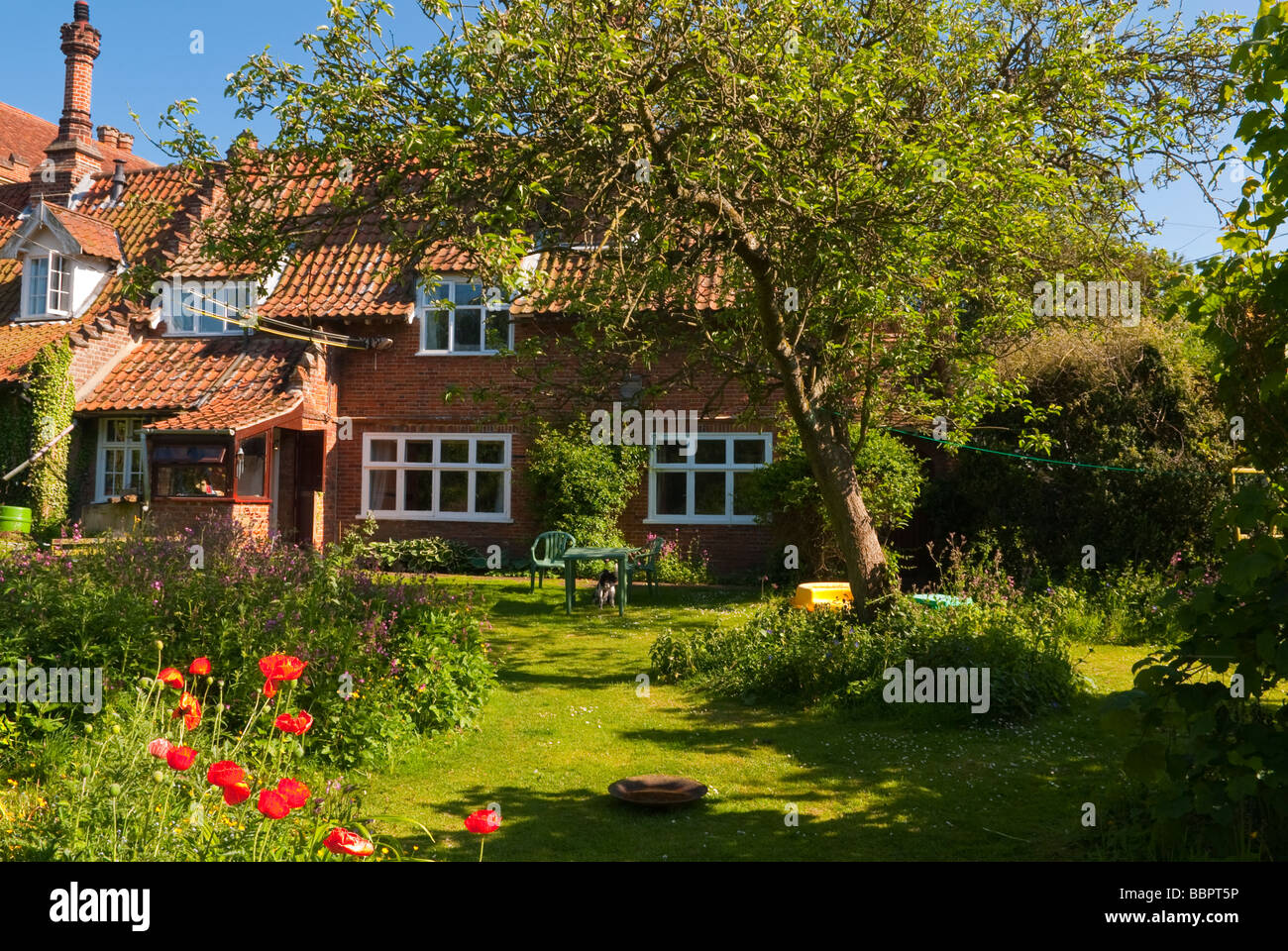 A lovely English country cottage in the spring with blooming garden and a view of a country life setting in Suffolk Uk Stock Photo