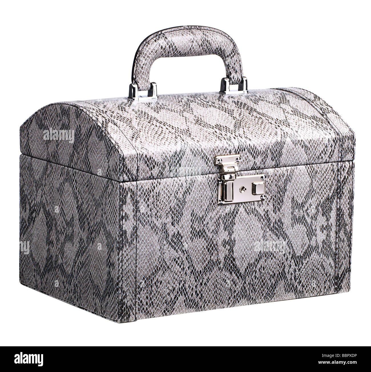 Snakeskin vanity case Stock Photo